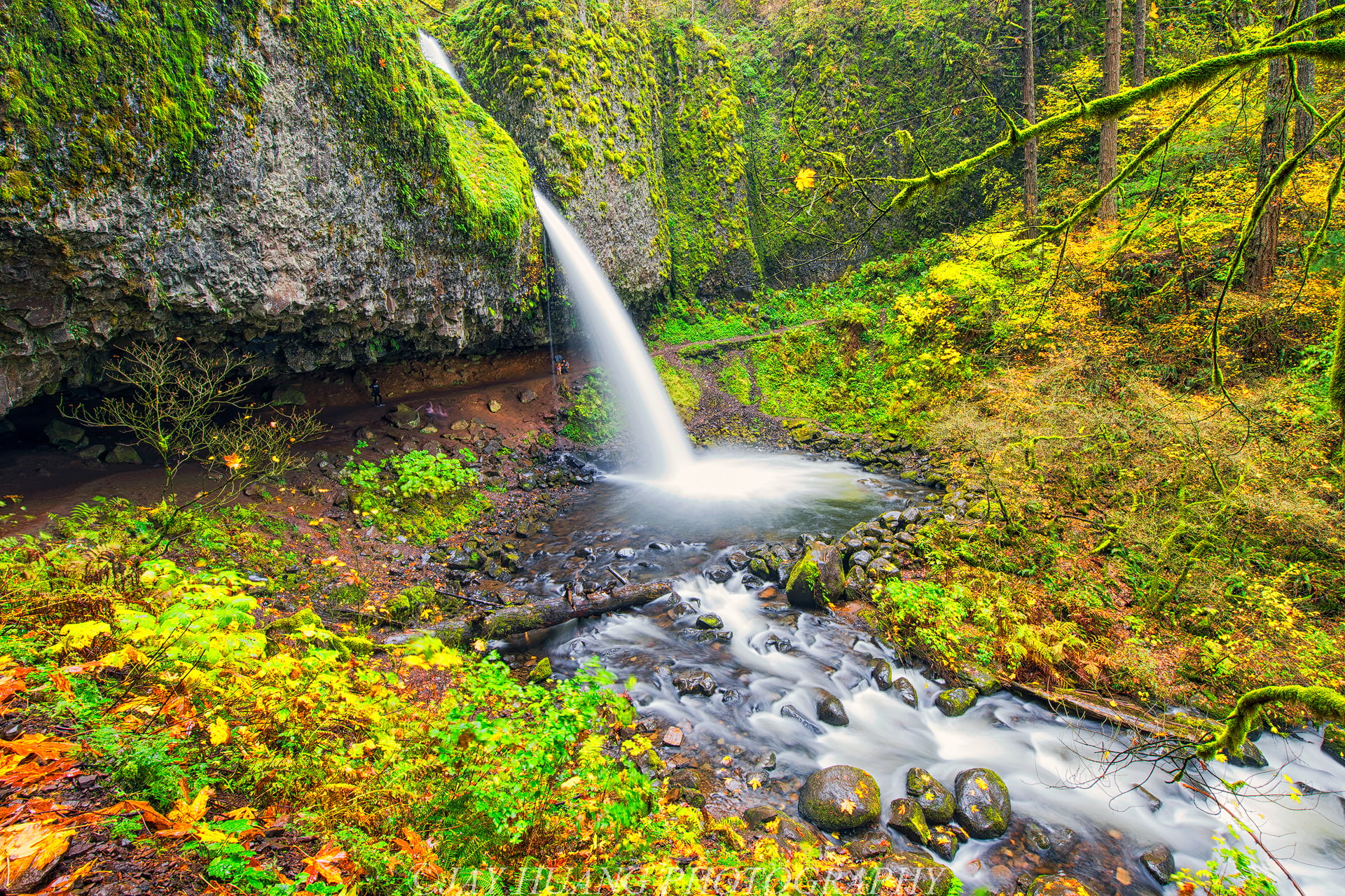 beauty In Nature, Waterfall, nature, daytime, rock - Object, tree, river, Columbia River Gorge, Autumn, outdoors, scenics, Horsetail Fall, wet, landscape, HD Wallpaper
