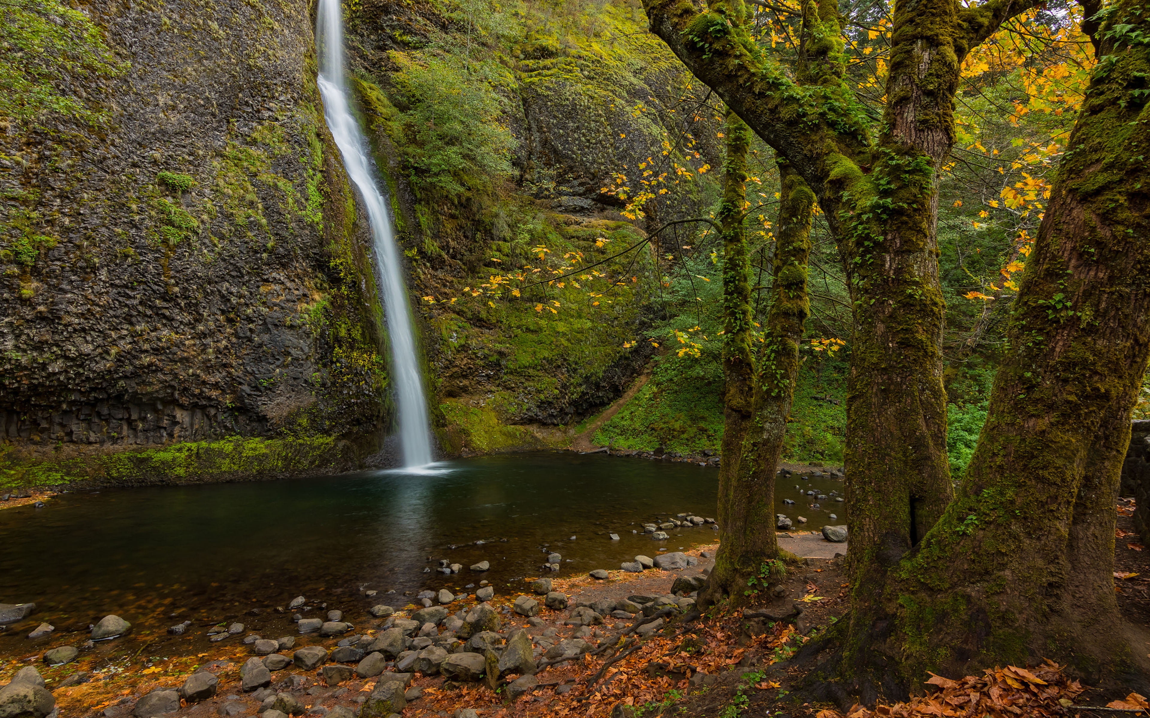 Earth, Waterfall, Waterfalls, 4K, Horsetail Falls, HD Wallpaper