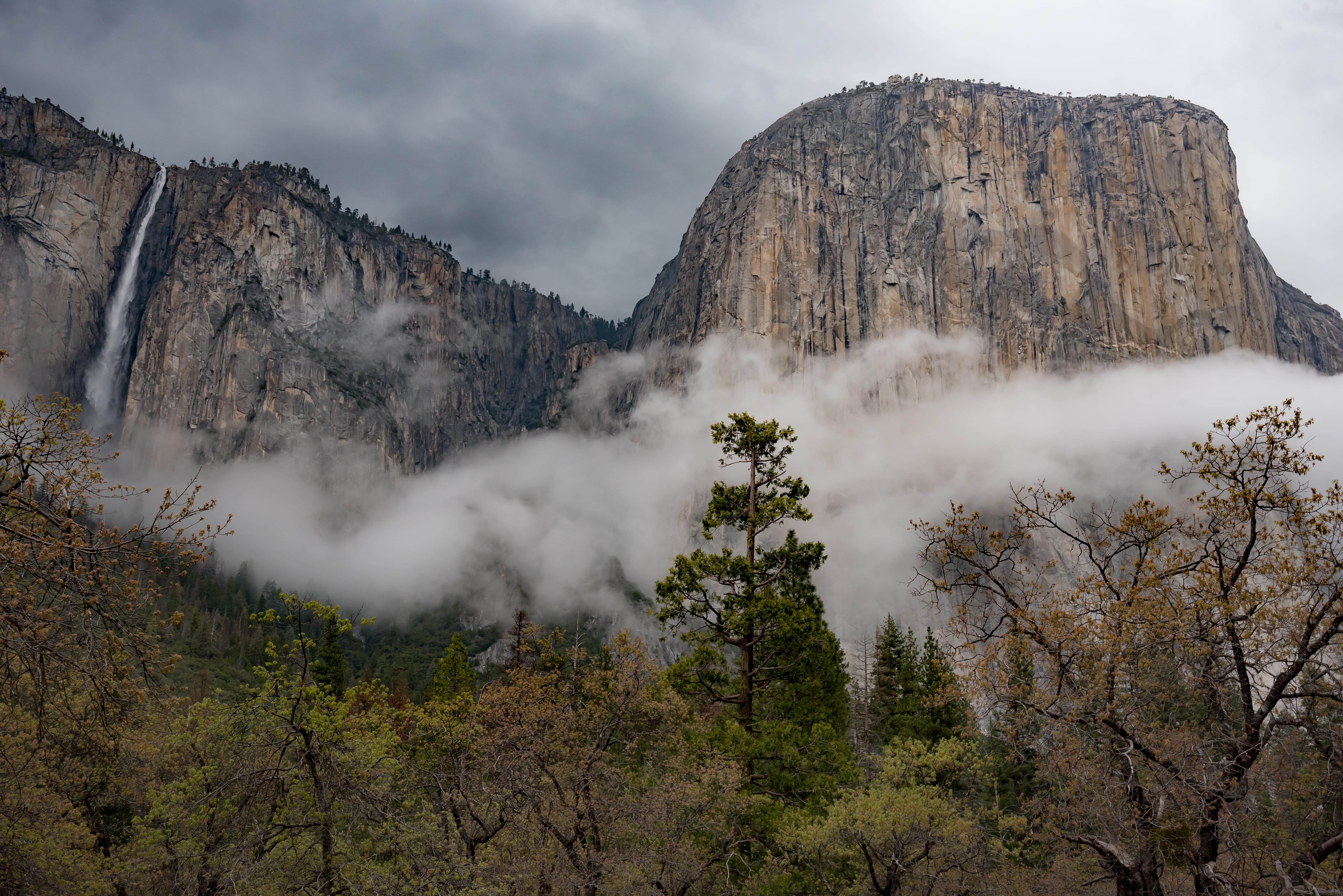 fog, mountain, formation, plant, land, nature, tree, tranquil scene, forest, rock formation, mountain range, white, tranquility, non-urban scene, no people, HD Wallpaper