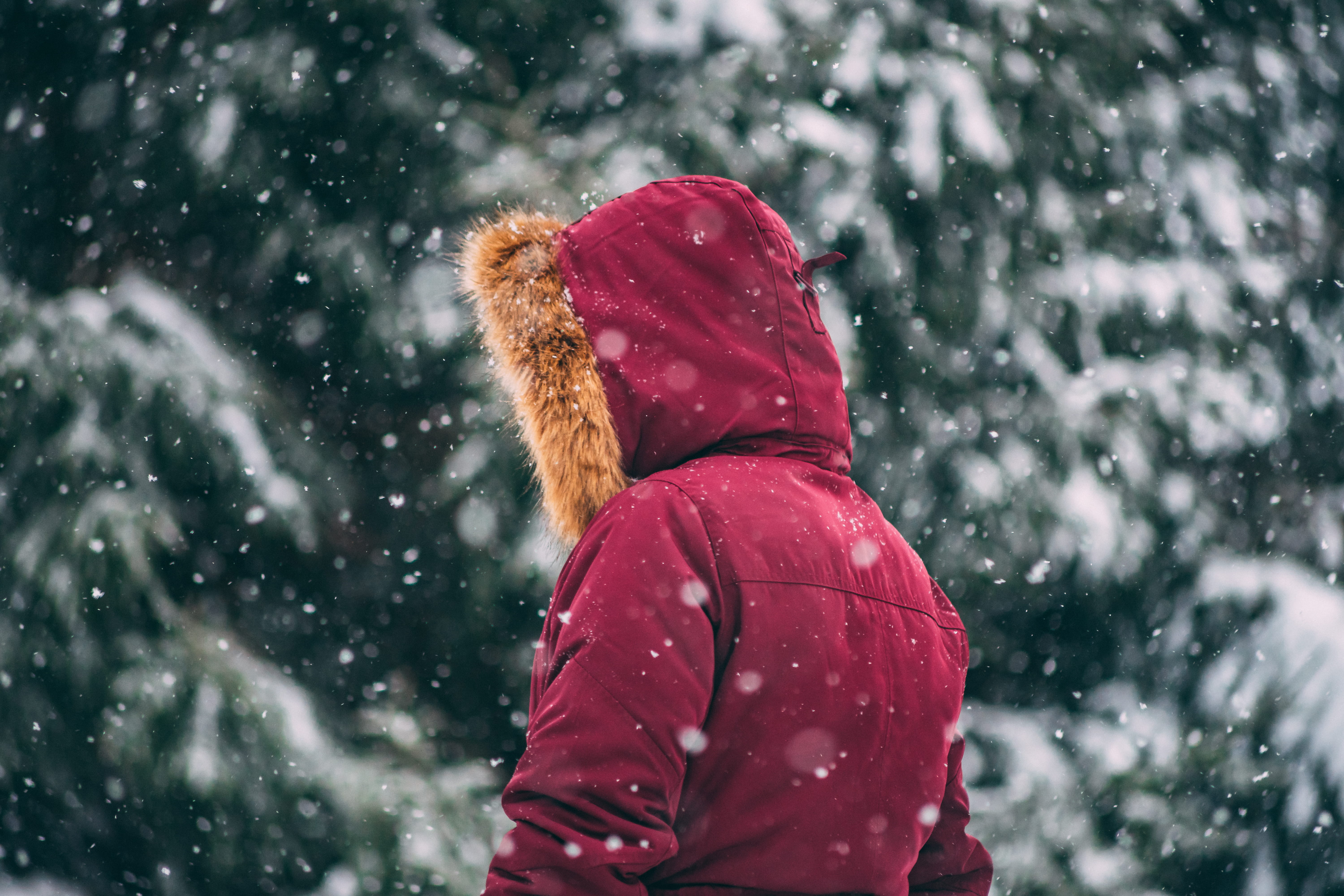 human, outdoors, snowflake, weather, apparel, cold, day, storm, fun, nature, focus on foreground, leisure activity, glove, cold temperature, HD Wallpaper