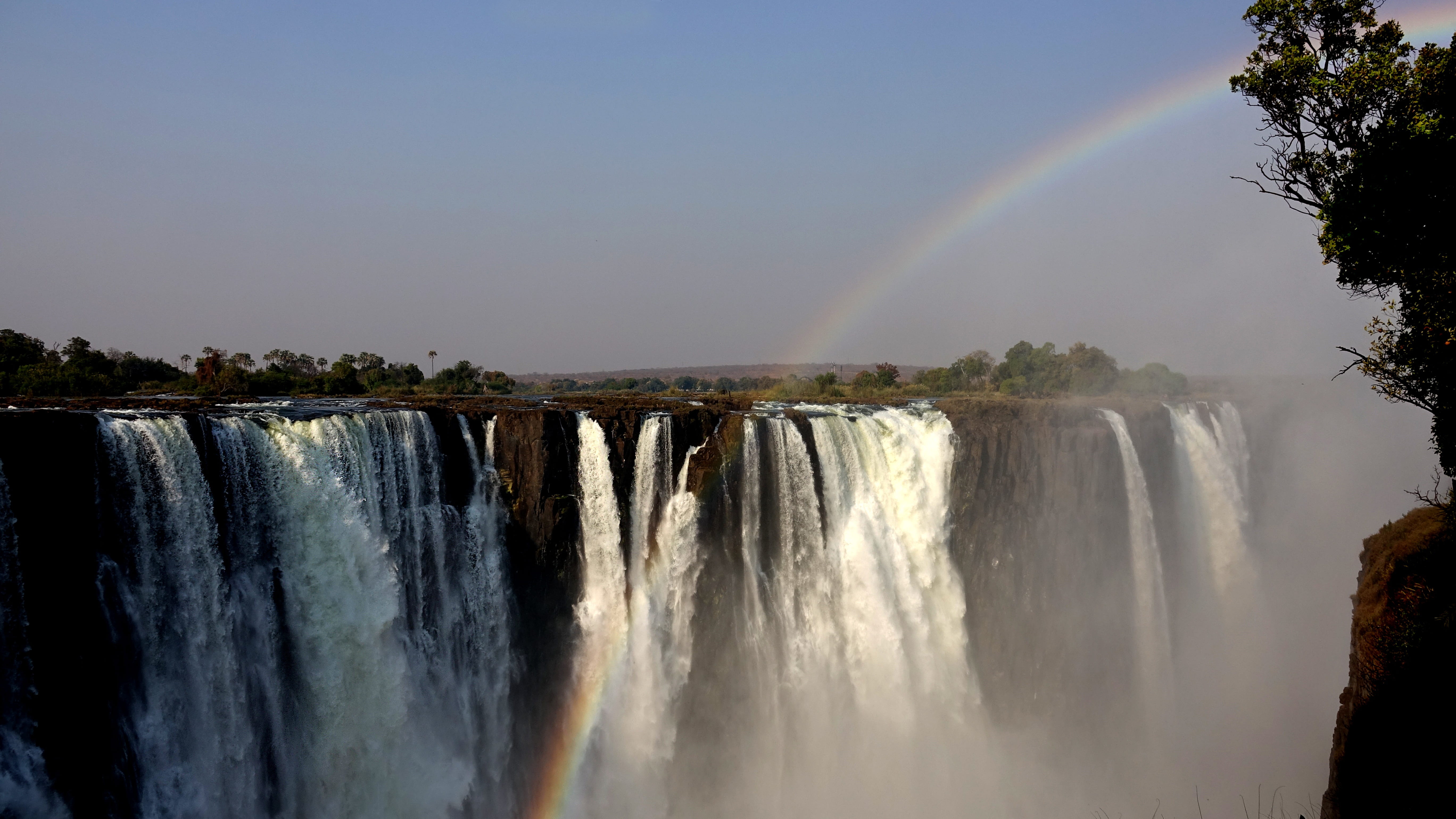 spray, daytime, tree, waterfall, long exposure, zimbabwe, waterfalls, water, motion, flowing water, day, power in nature, travel destinations, rainbow, HD Wallpaper