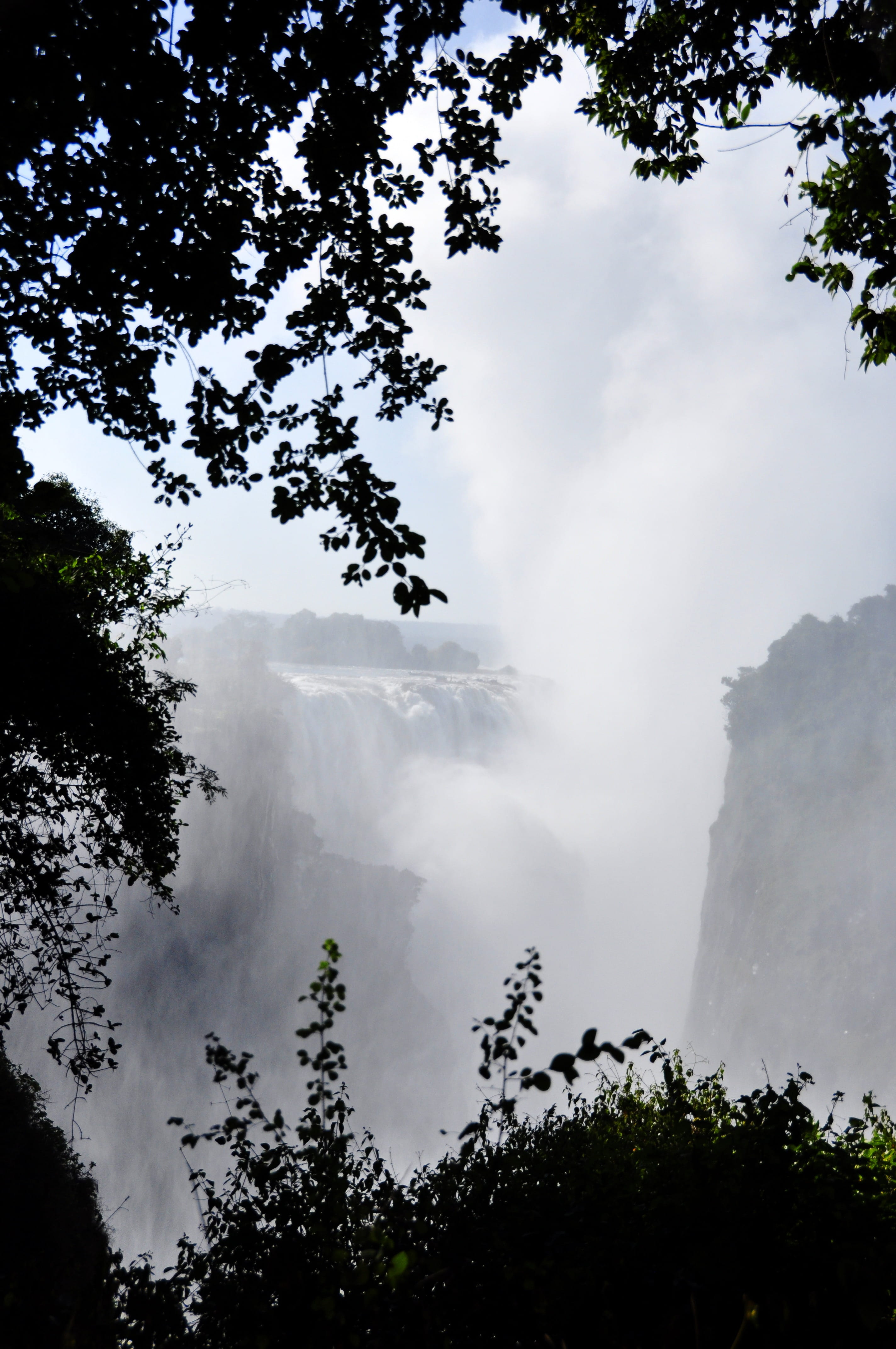 scenics - nature, spray, power in nature, plant, growth, outdoors, Victoria Falls, fog, scenics, landscape, 4K, tranquil scene, land, sky, non-urban scene, Phone HD Wallpaper