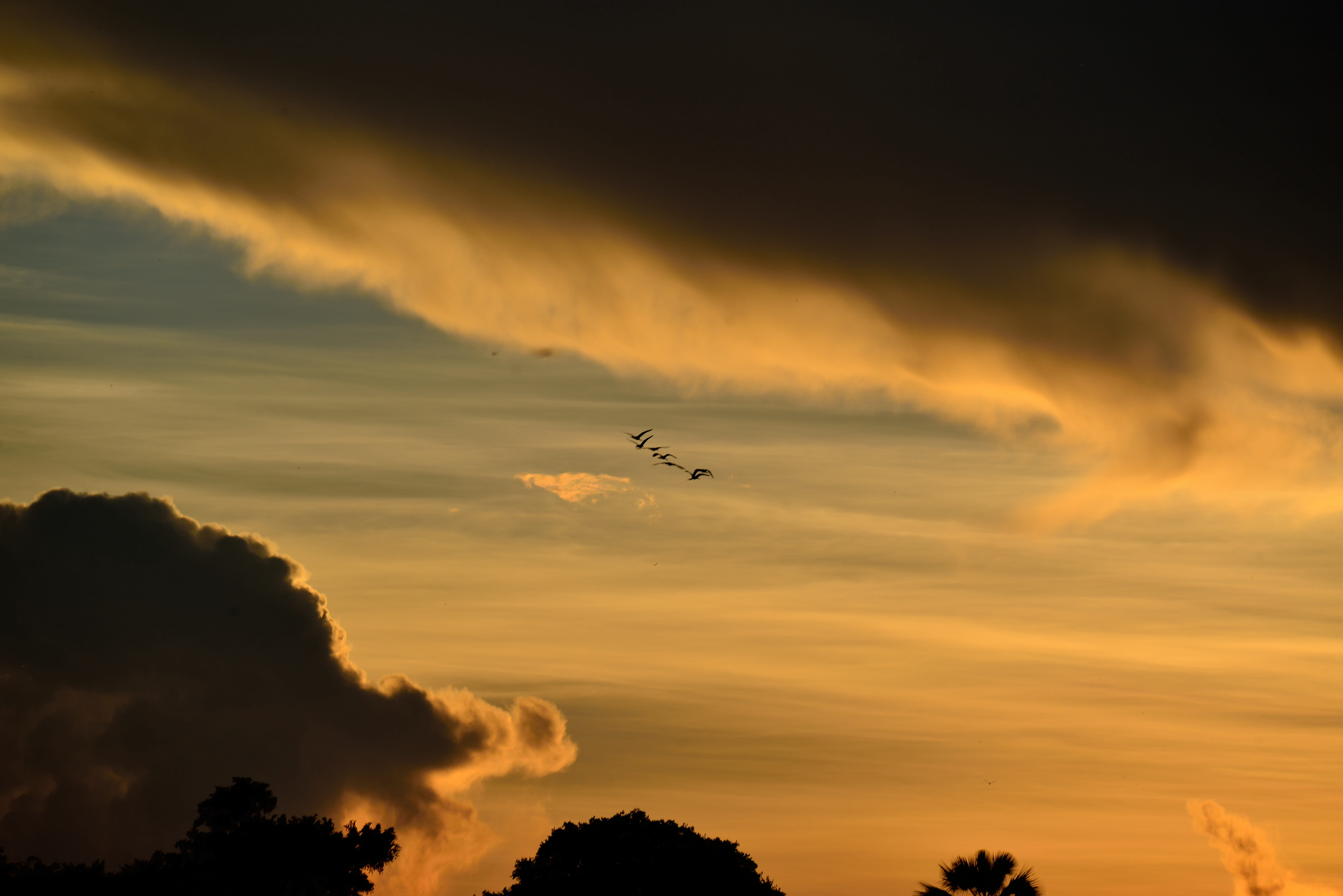 flying, nature, sky, victoria falls, air vehicle, mode of transportation, outdoors, transportation, scenics - nature, airplane, zambezi, aerospace industry, HD Wallpaper