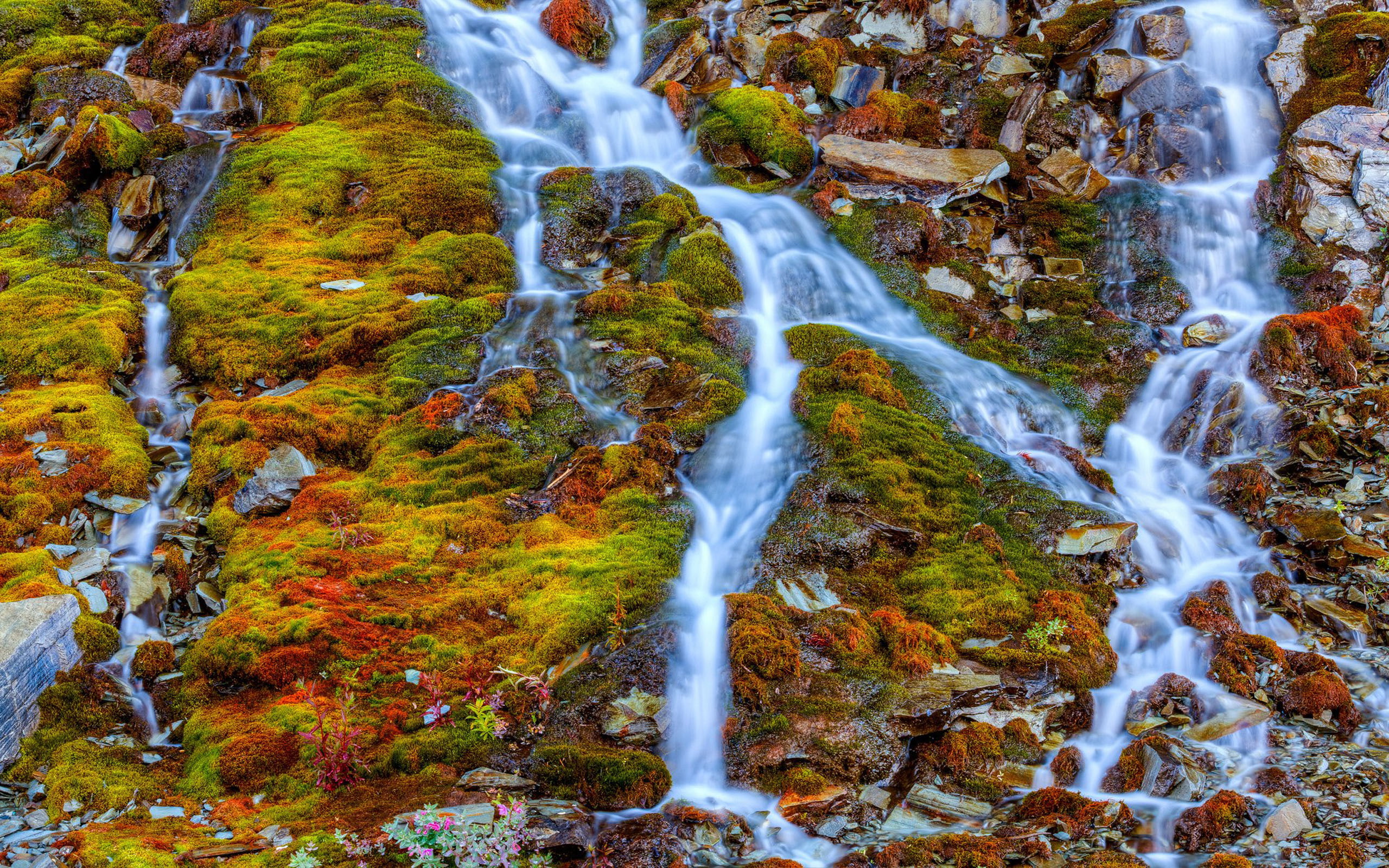 mountain, 2K, waterfall, streams, phones, nature, computer, mobile, hd, rocky, moss, HD Wallpaper