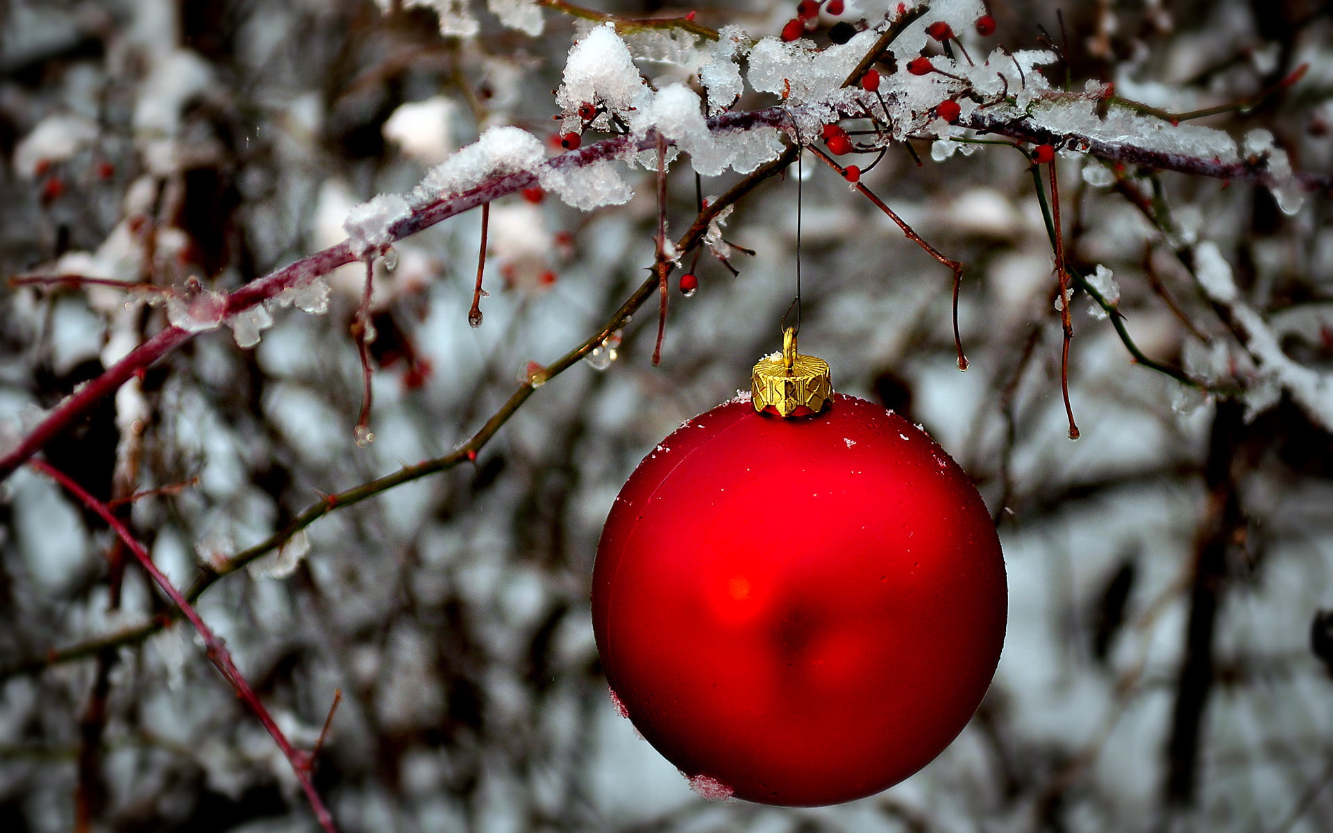 ball, decoration, hanging, red, nature, ice, snowing, New Year, outdoors, bauble, no people, christmas decoration, branch, Christmas, holiday, close-up, HD Wallpaper
