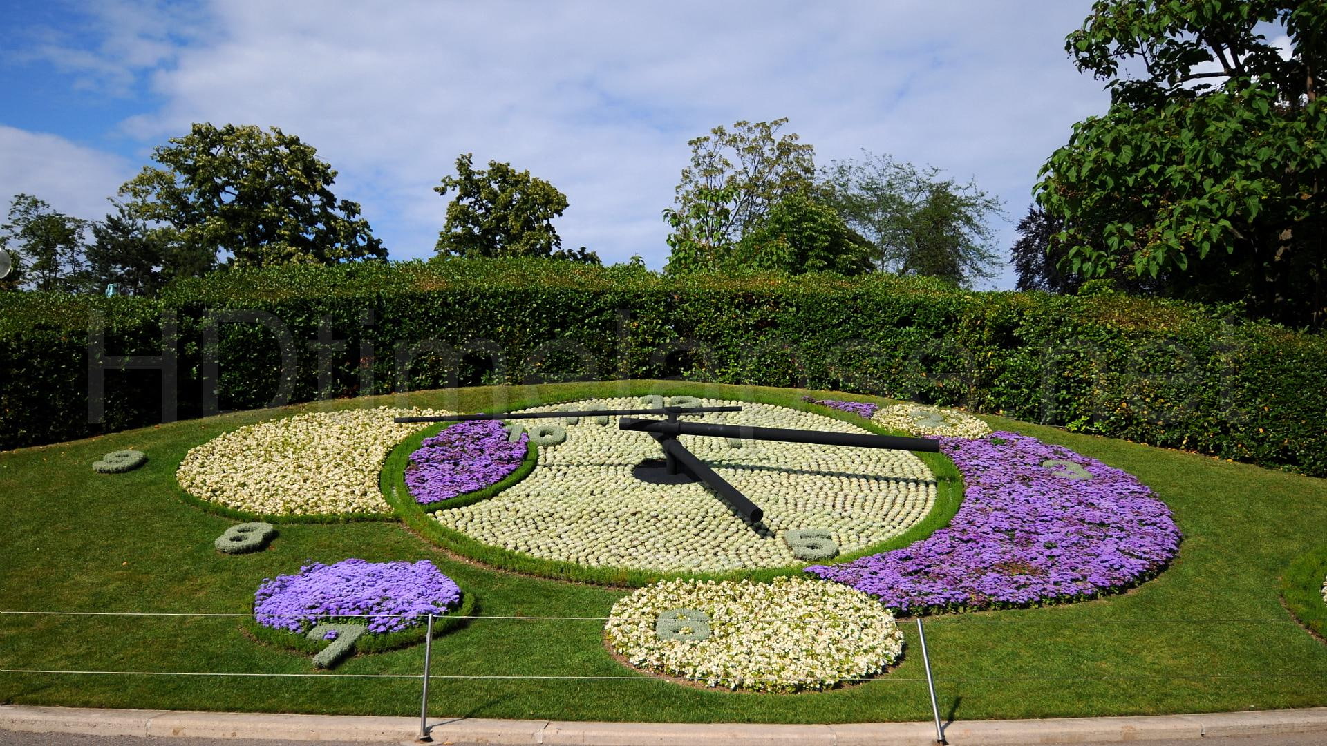 natural, nature and landscapes, flowers, 1080P, garden, time, clock, spring, park, HD Wallpaper