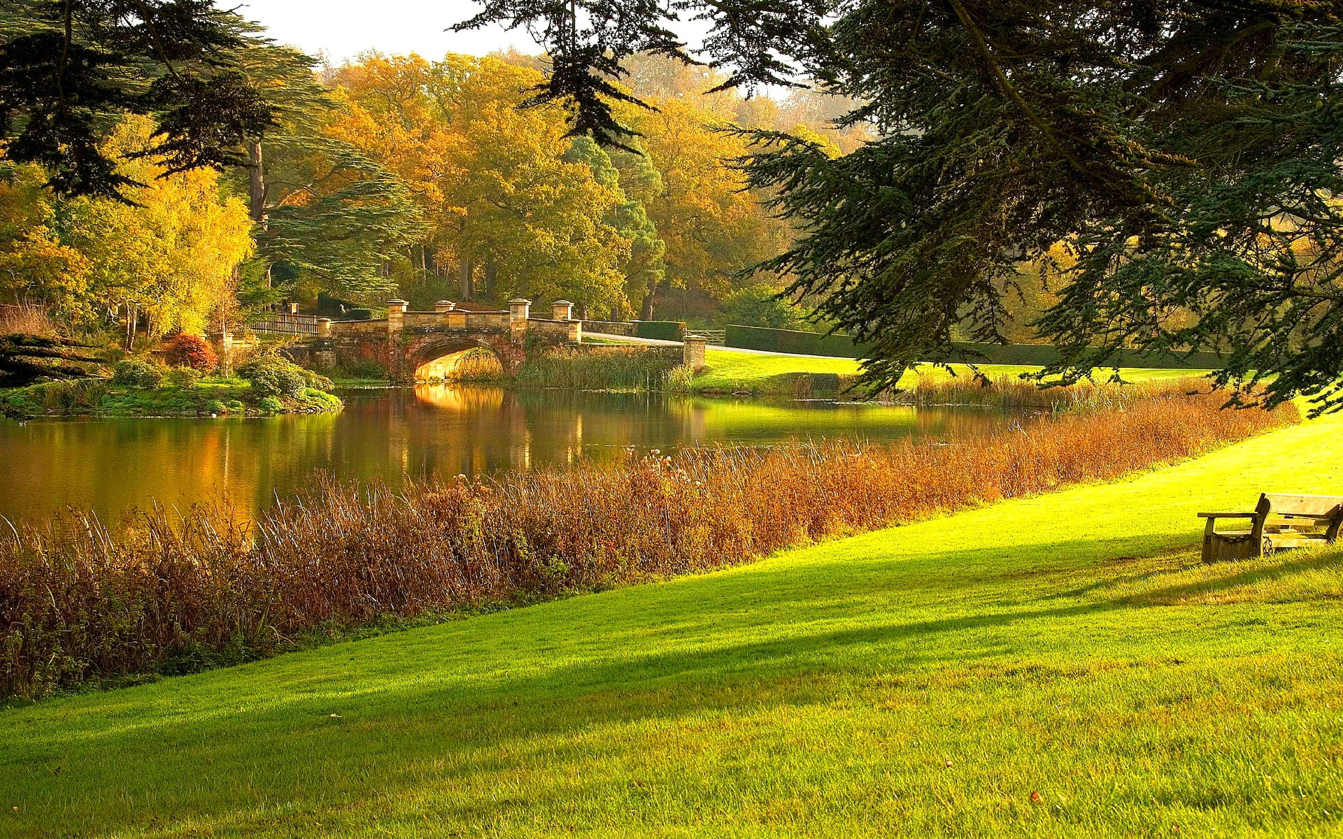 Grass, Autumn, Trees, Bench, Lawn, Yard, 1080P, Pond, HD Wallpaper