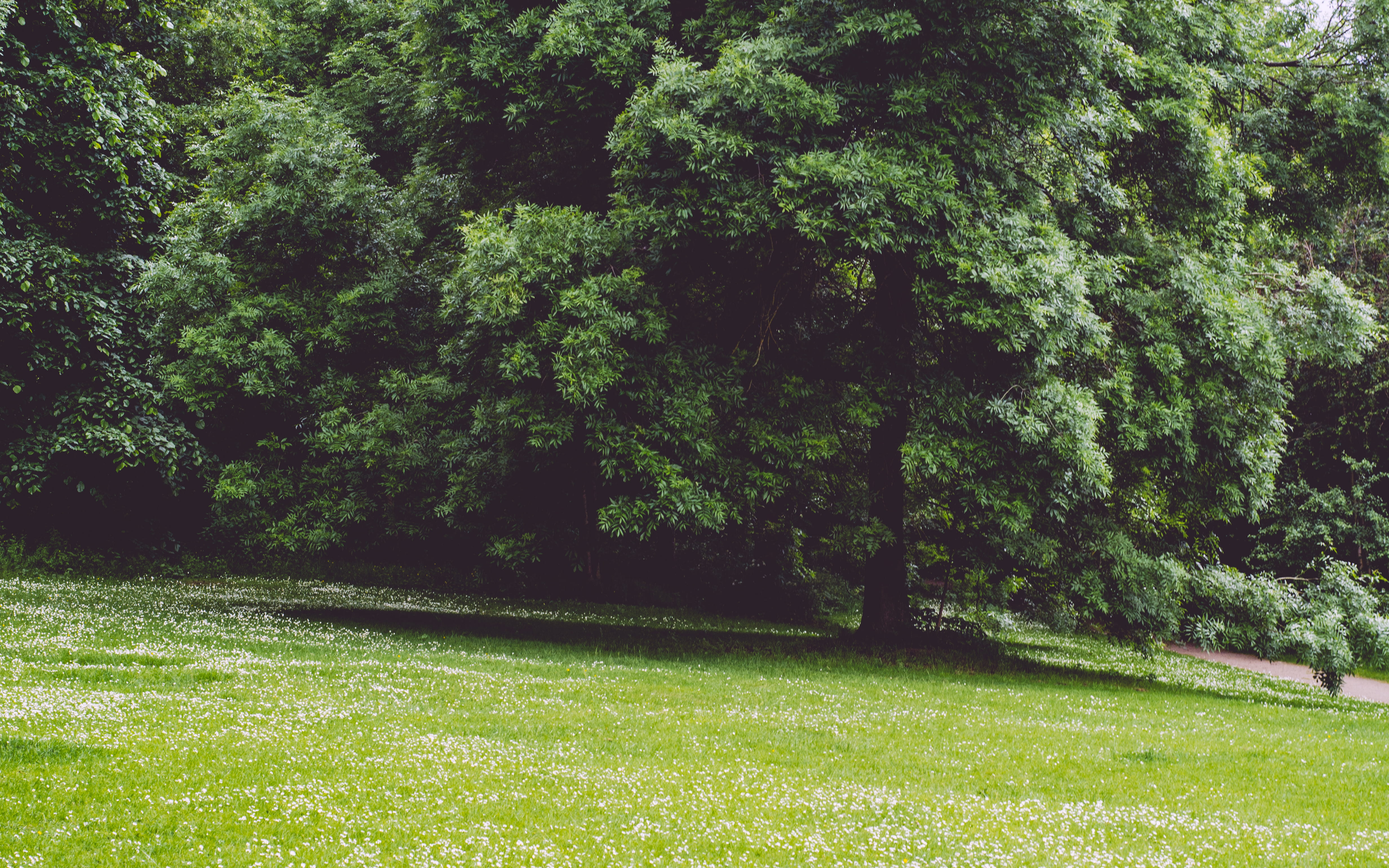 landscape, environment, growth, nature, land, tranquility, tranquil scene, scenics - nature, outdoors, green color, foliage, trees, grass, no people, united kingdom, HD Wallpaper