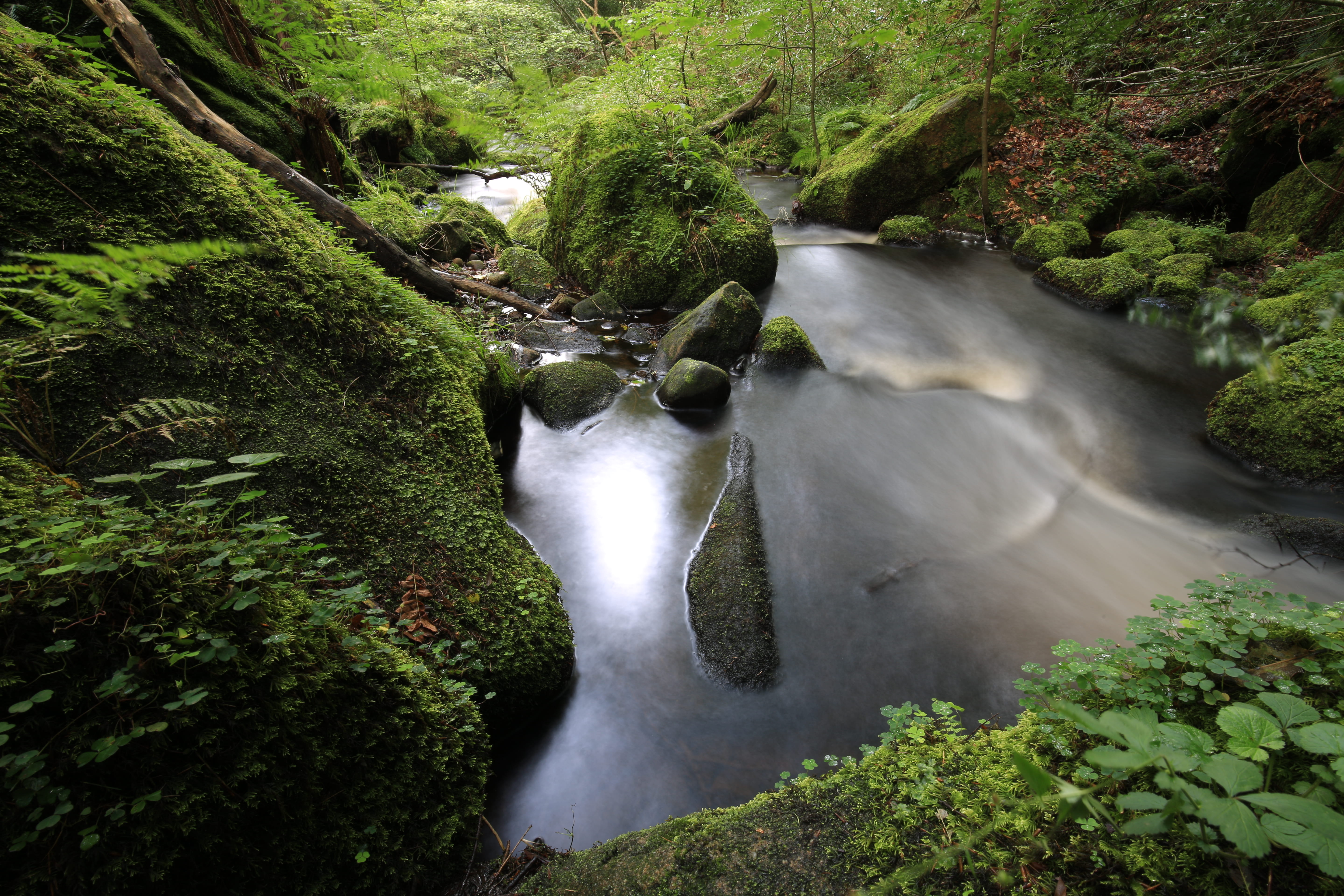 no people, water, green color, lush foliage, plant, motion, forest, united kingdom, land, beauty in nature, flowing water, flowing, scenics - nature, falling water, HD Wallpaper