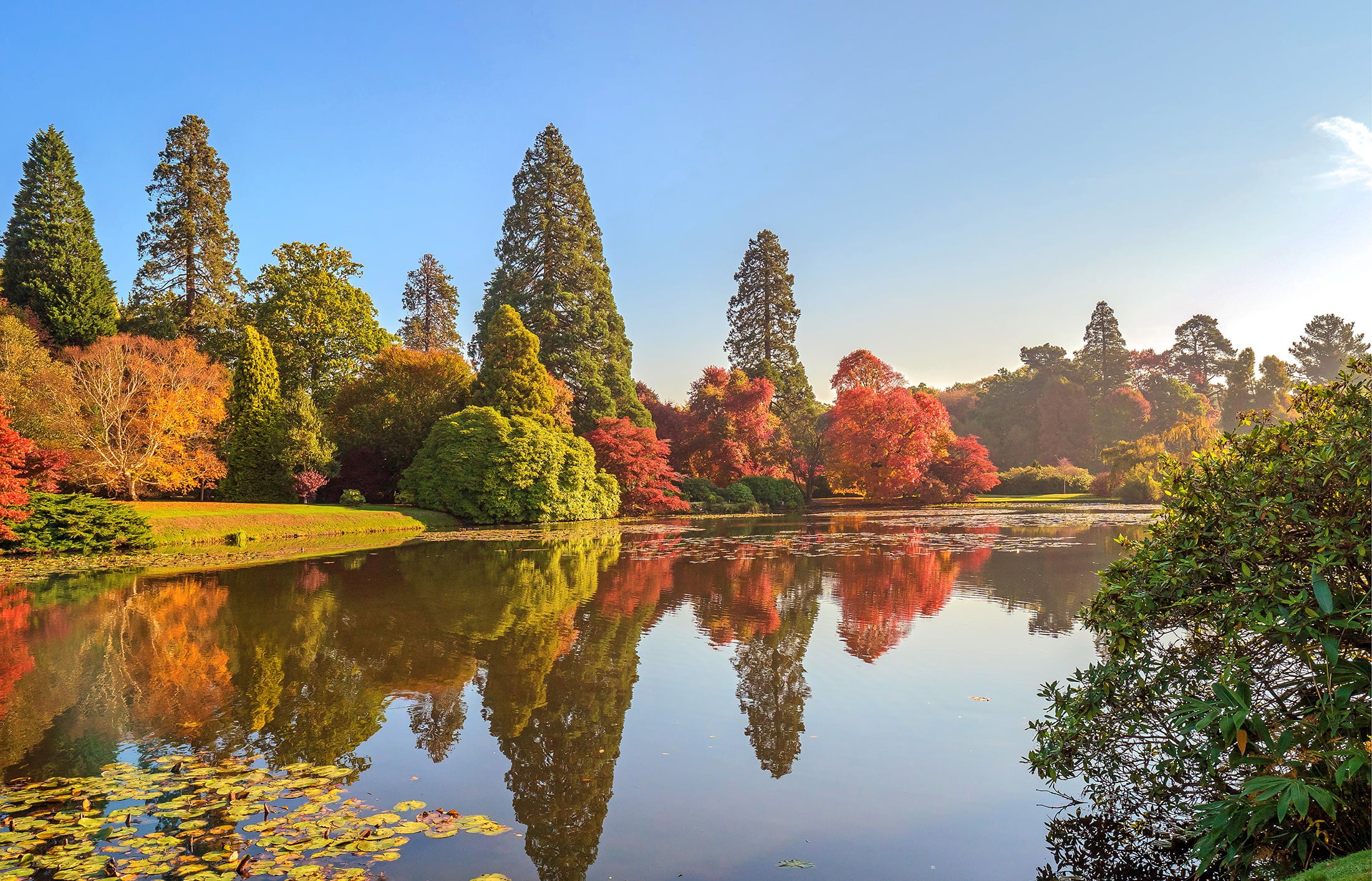 1080P, river, England, Sheffield Park, trees, the sun, autumn, HD Wallpaper