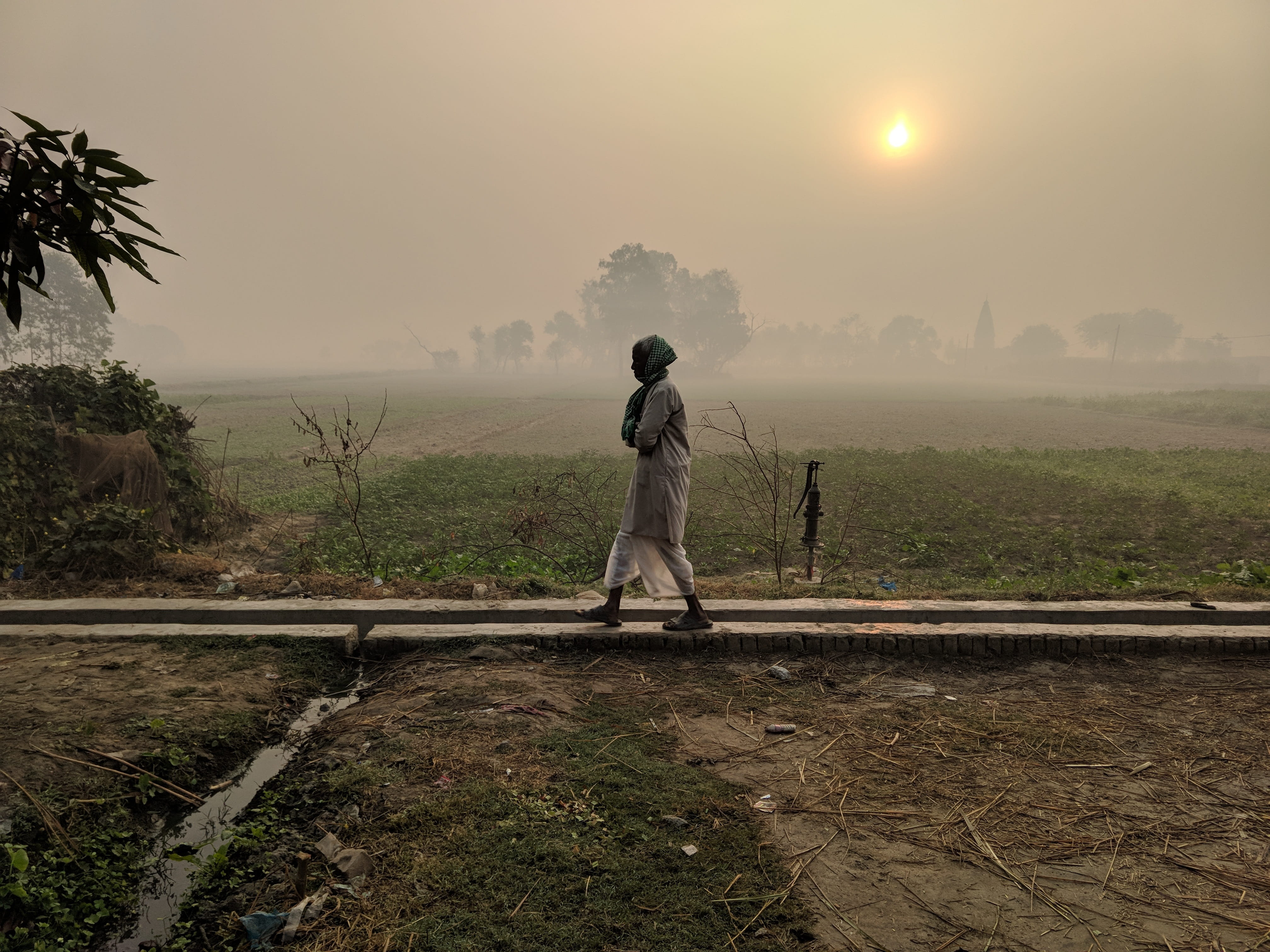fog, real people, lifestyles, india, standing, spraying, tree, land, holidays, field, full length, scenics - nature, landscape, 4K, sun, plant, nature, HD Wallpaper