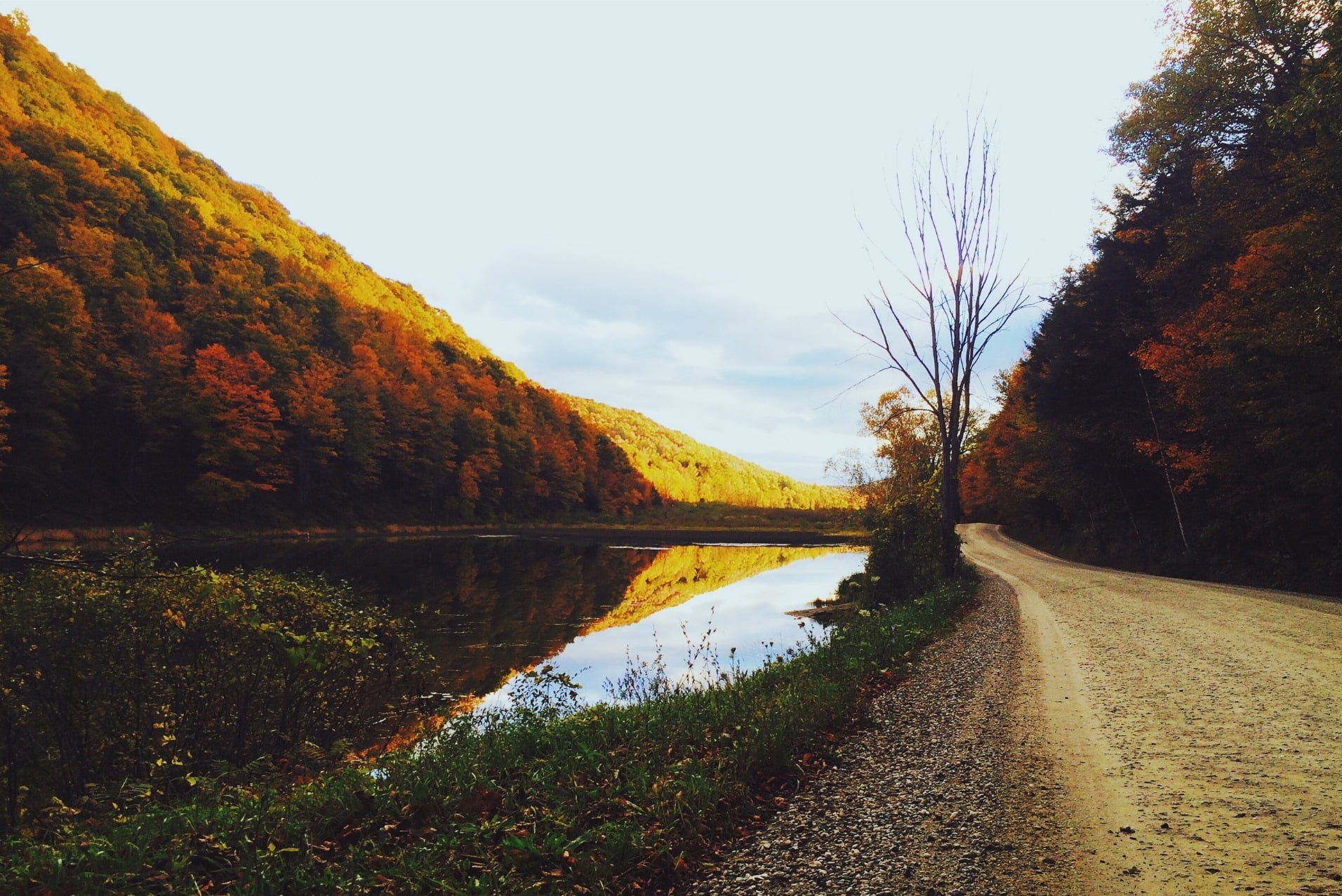 non-urban scene, tree, road, beauty in nature, plant, day, 720P, sky, nature, transportation, scenics - nature, landscape, tranquil scene, leafed, dirt road, HD Wallpaper