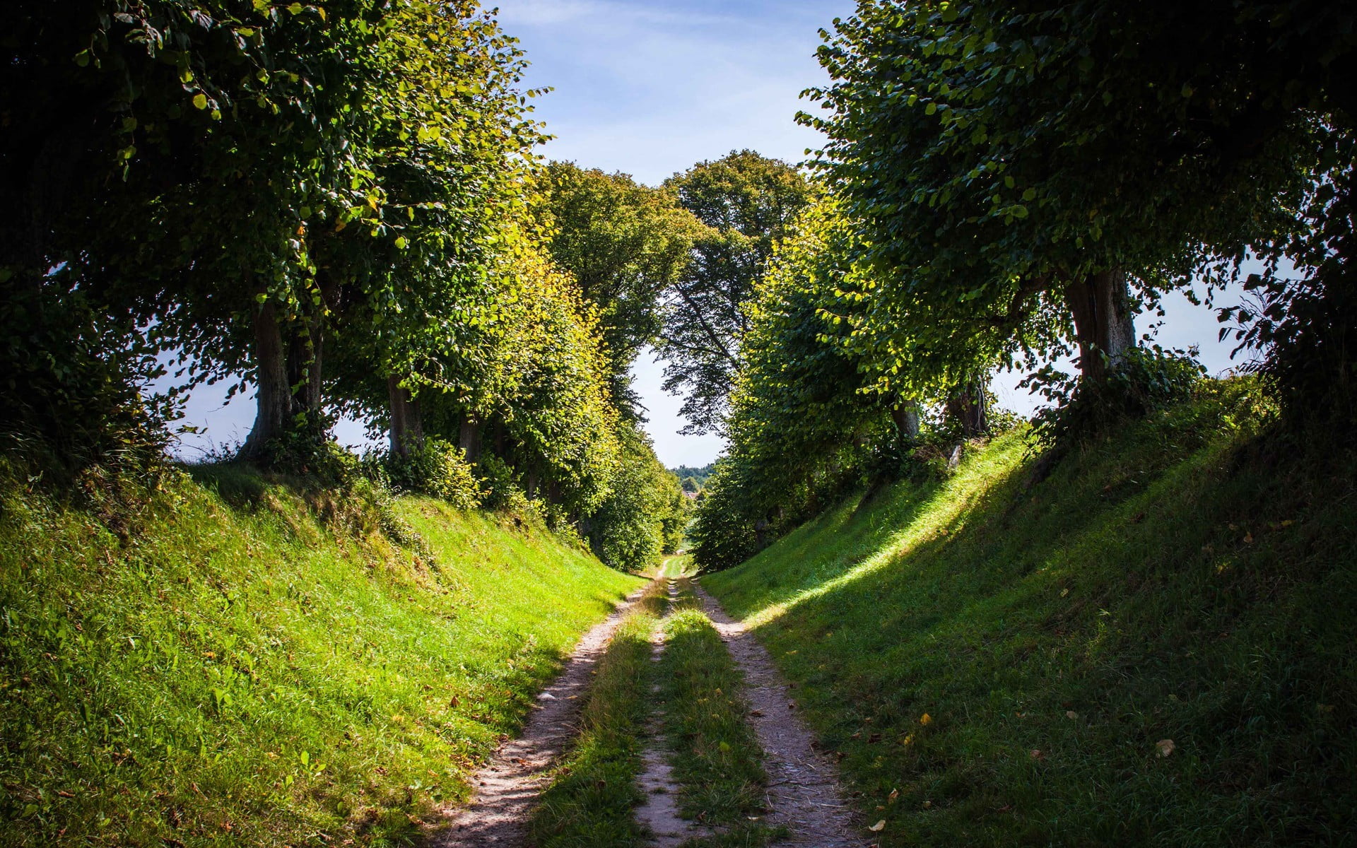 dirt road, the way forward, landscape, diminishing perspective, green, trail, trees, green color, transportation, beauty in nature, path, sky, day, grass, HD Wallpaper