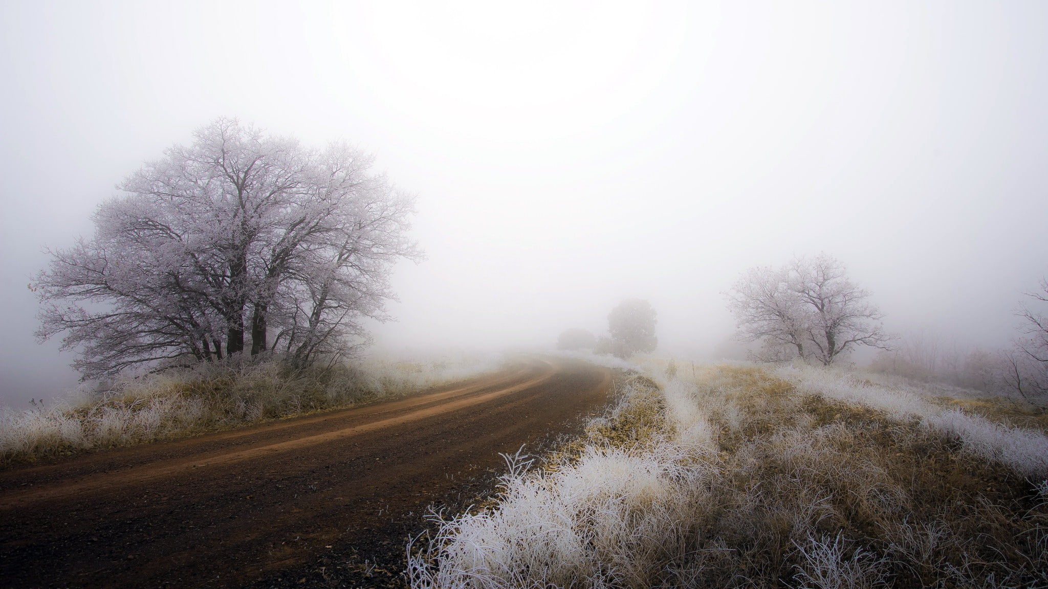 dirt road, landscape, 1080P, winter, HD Wallpaper