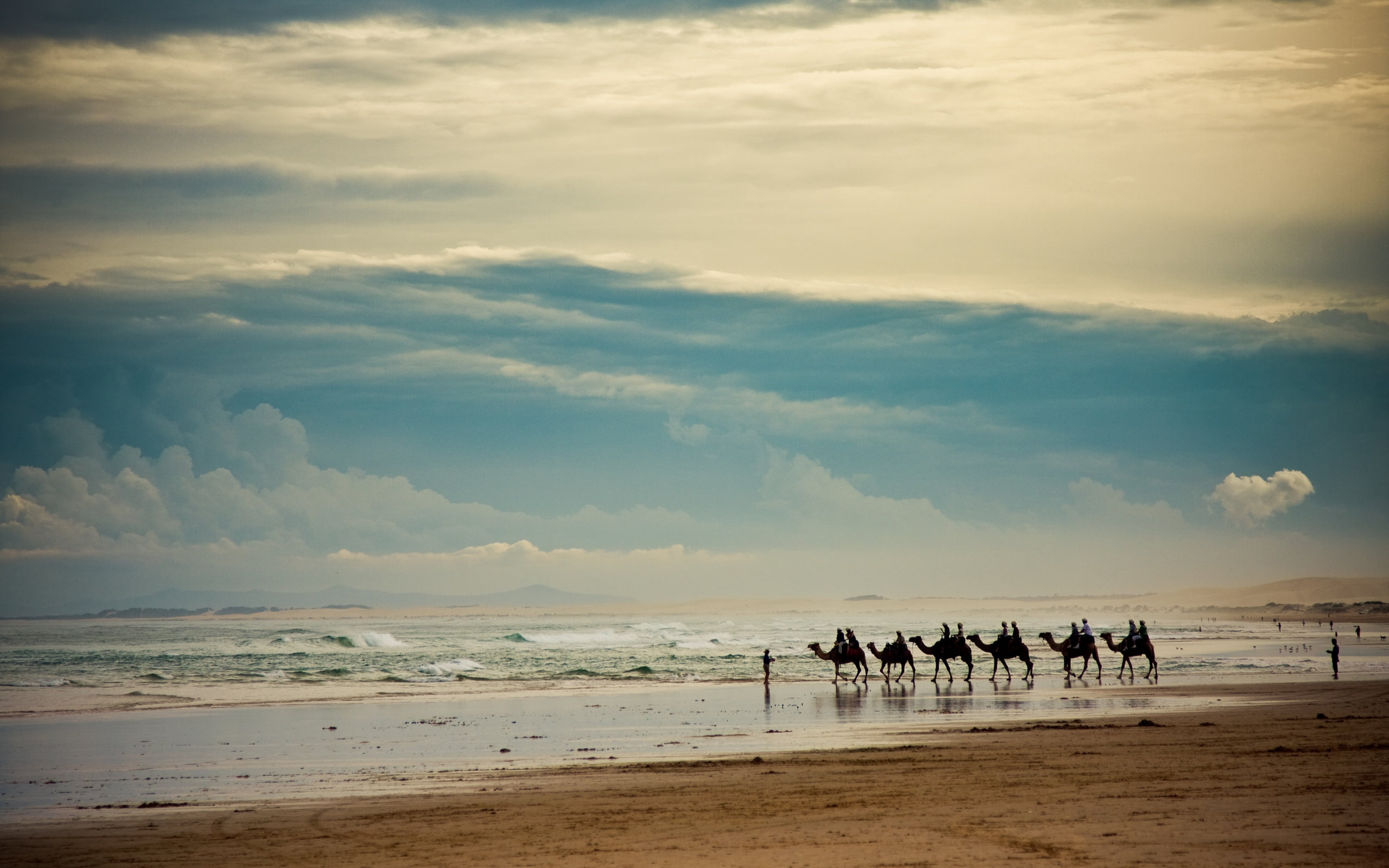 nature, walking, travel Locations, clouds, water, animal themes, travel Destinations, camels, 2K, vacations, horizon over water, beauty In Nature, wave, HD Wallpaper