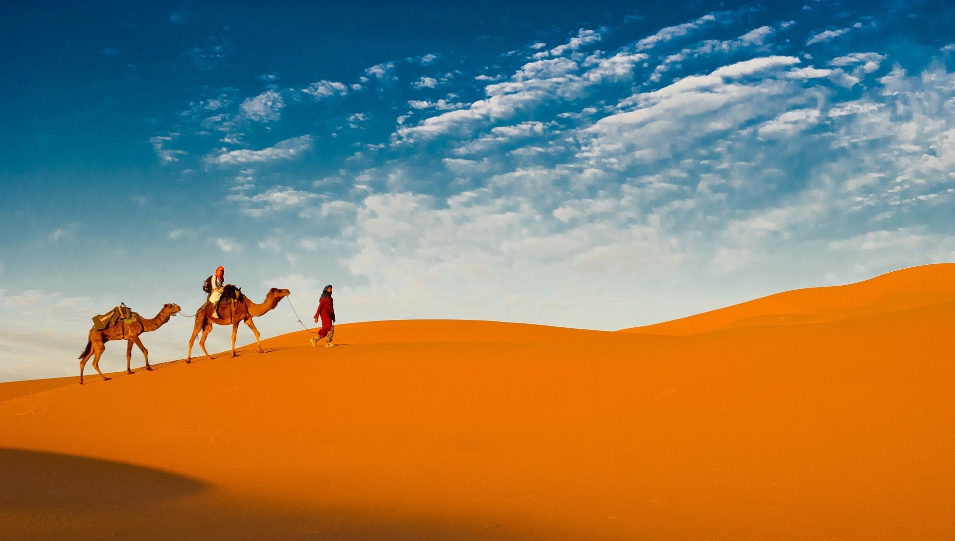 Caravan, 1080P, Desert, Photography, Camel, HD Wallpaper