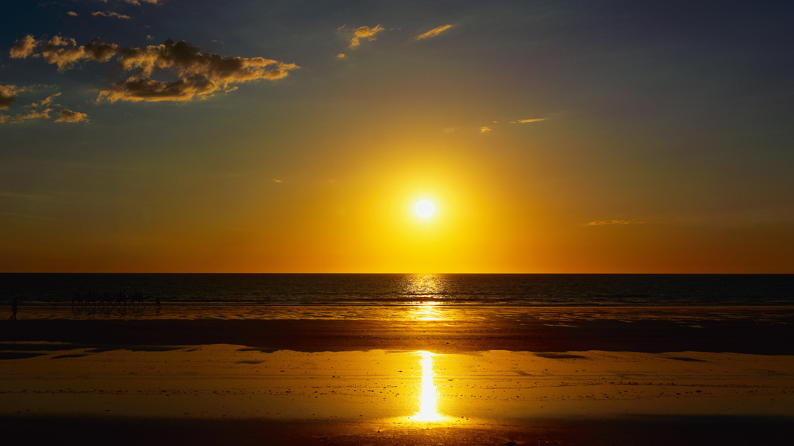beach, idyllic, dawn, tranquil Scene, horizon Over Water, yellow, horizon, camels, coastline, gold Colored, sunlight, land, scenics, orange Color, sun, HD Wallpaper