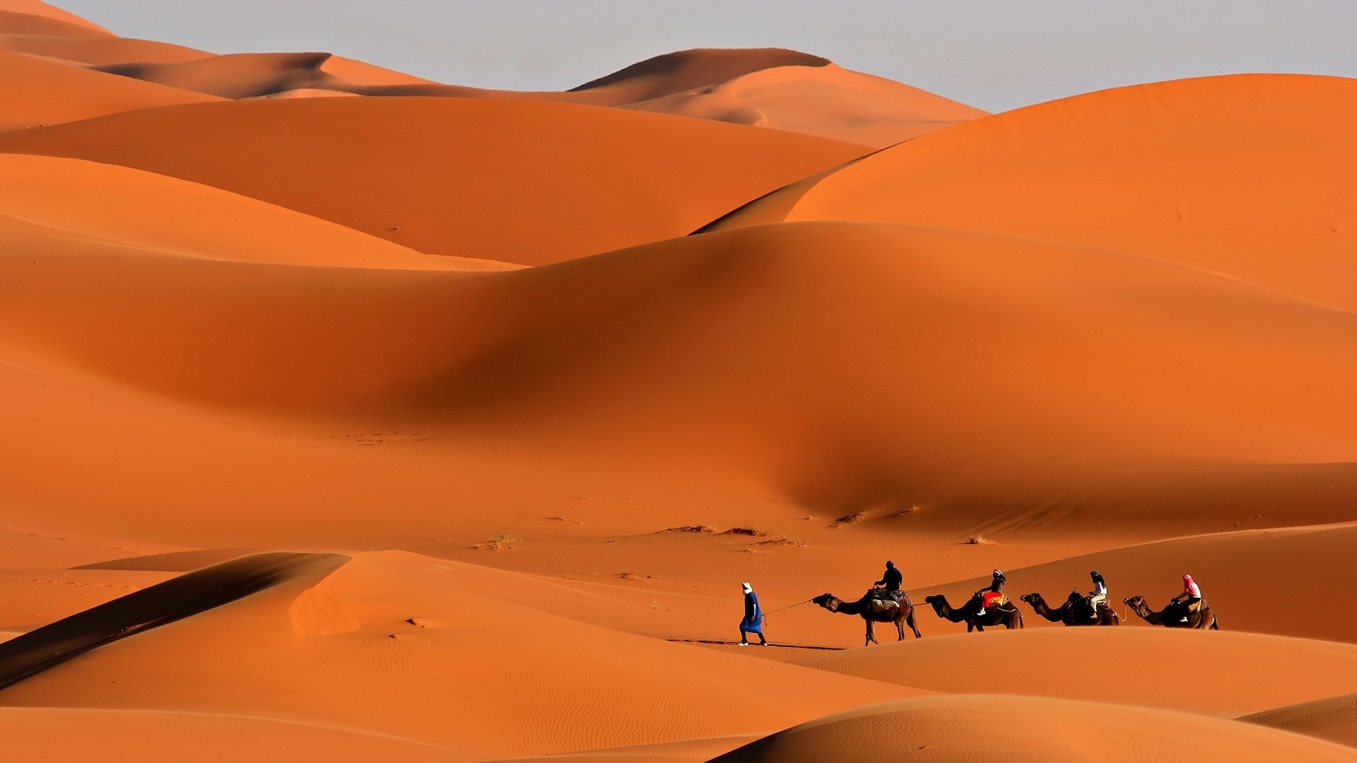 Sand, adventure, dry, Way, orange color, day, landscape, beauty in nature, camel, Desert, 1080P, extreme terrain, climate, nature, scenics - nature, sky, HD Wallpaper