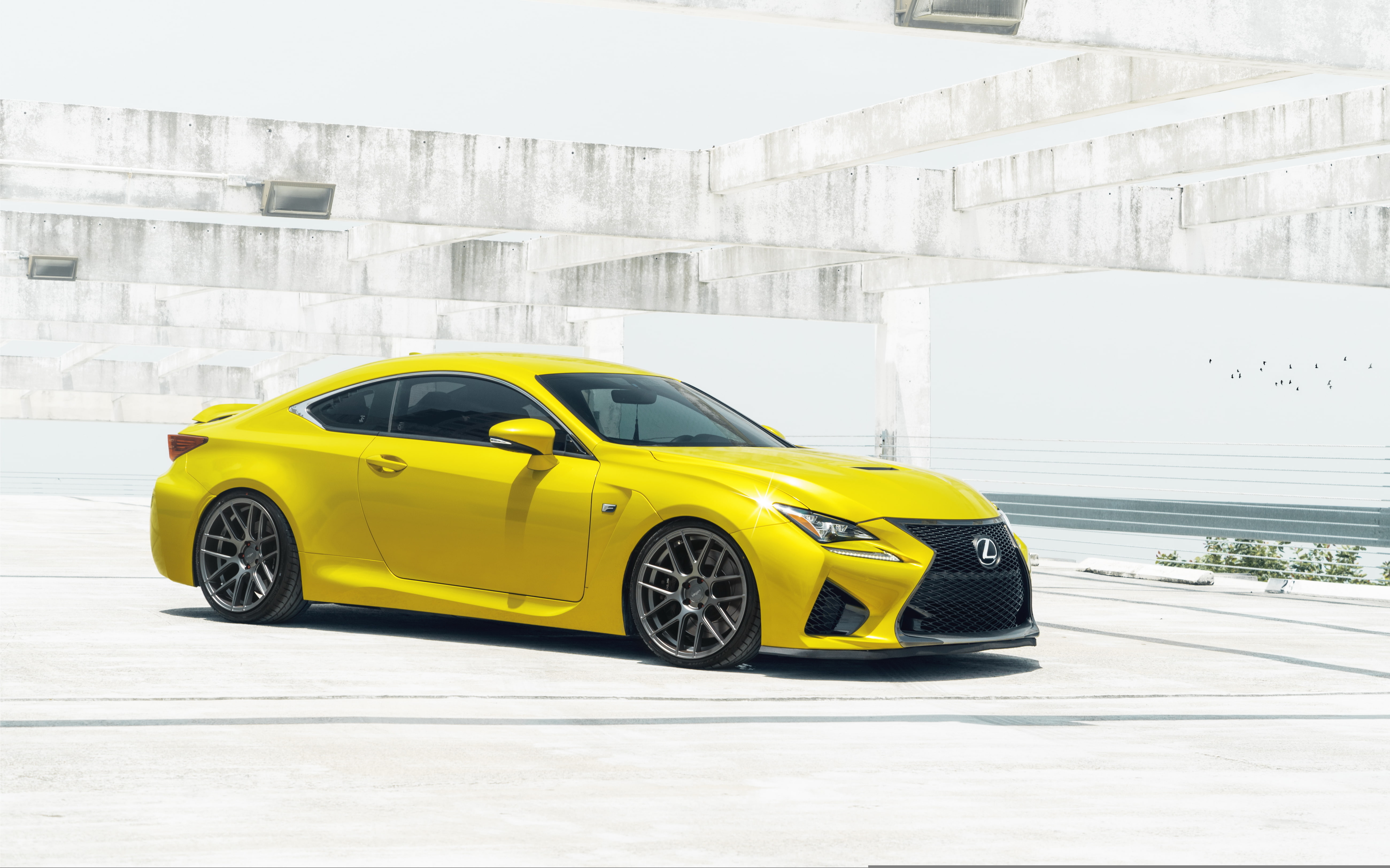 5K, William Stern, car, Lexus, RC F, HD Wallpaper