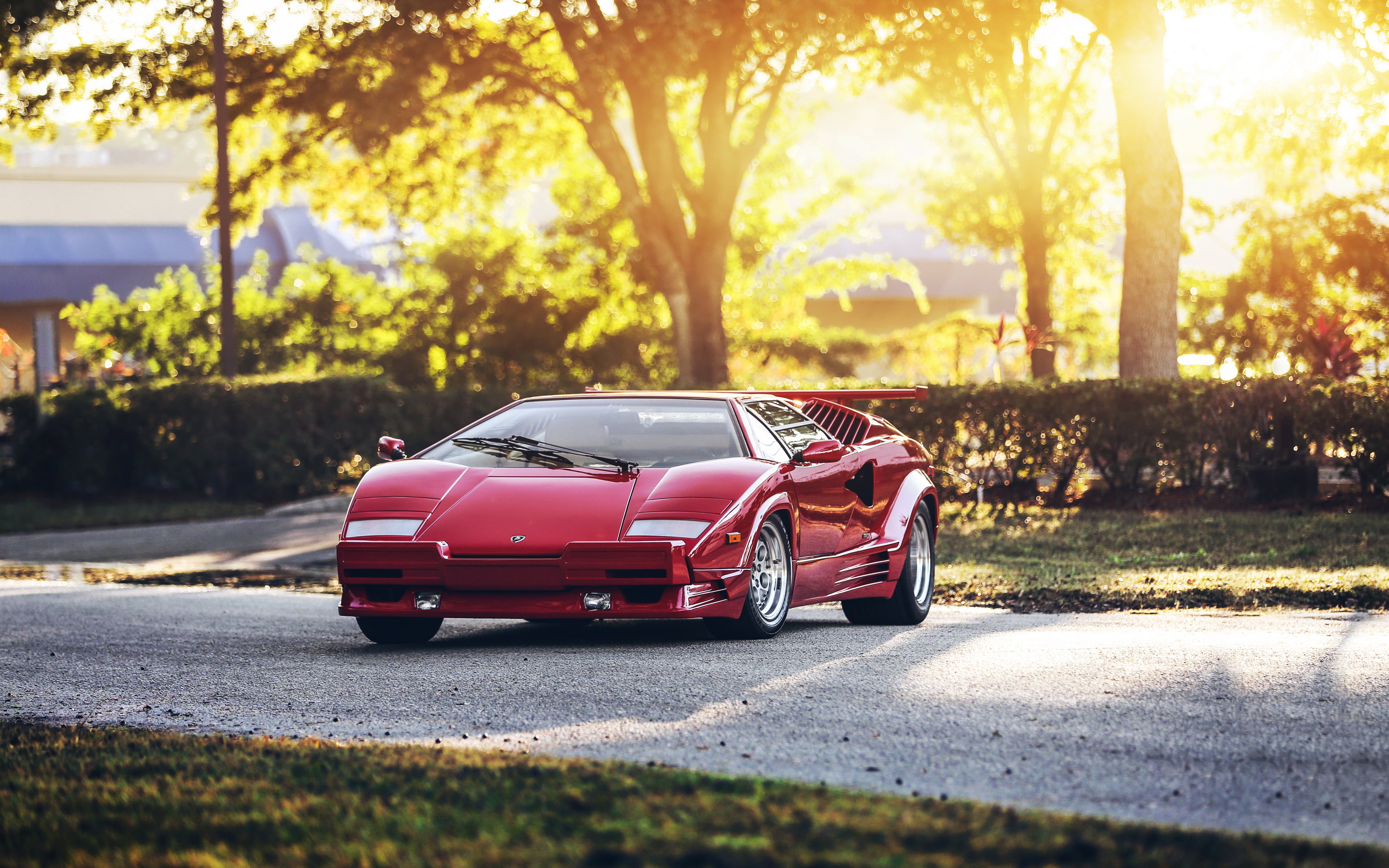 sunlight, plant, red, luxury, outdoors, street, hq, supercar, Lamborghini Countach, coype, motor vehicle, land vehicle, 4K, car, toy, tree, HD Wallpaper