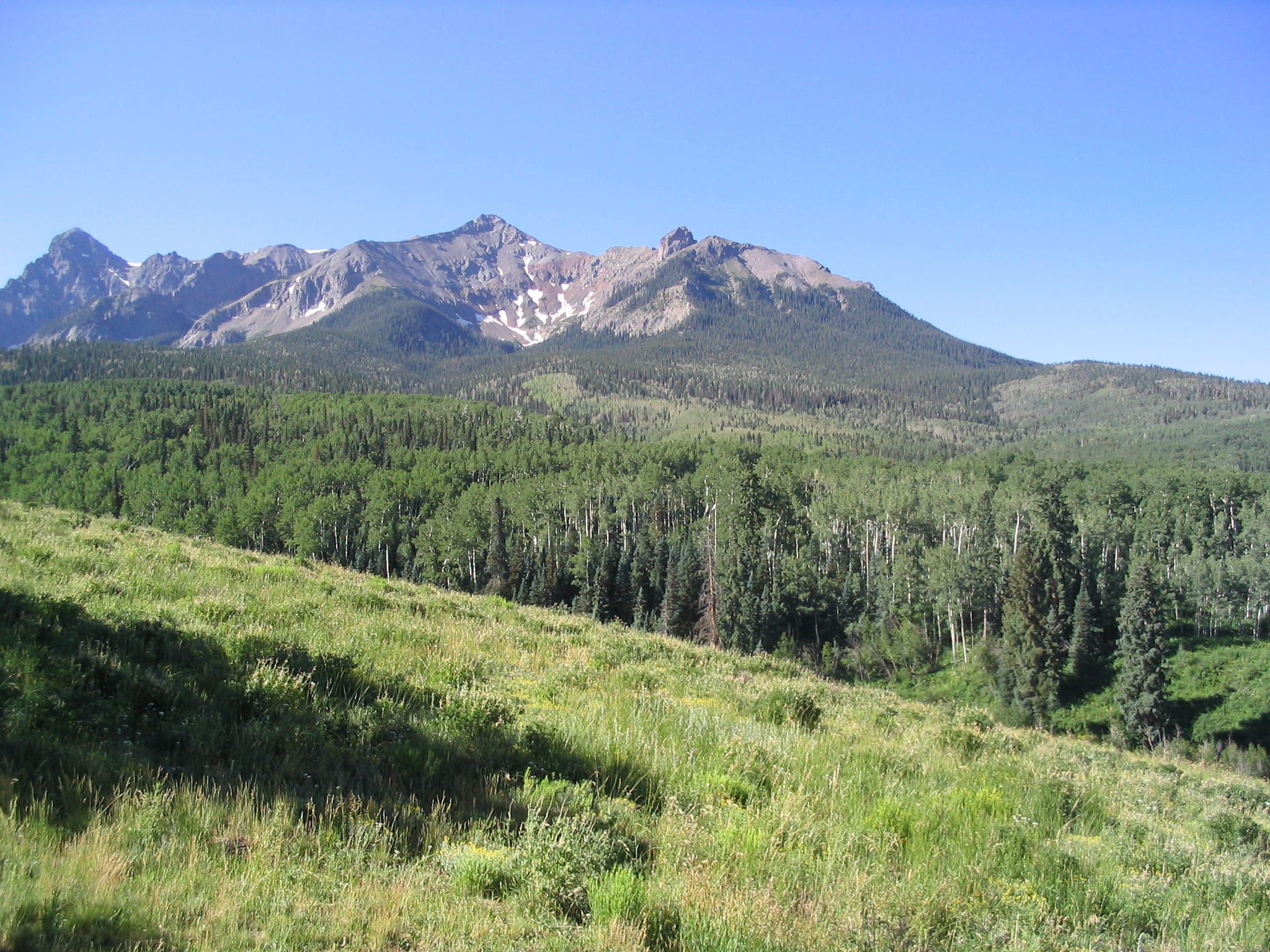 mountain peak, sky, grass, green color, non-urban scene, telluride, mountain range, no people, outdoors, plant, day, coniferous tree, landscape, summer, HD Wallpaper