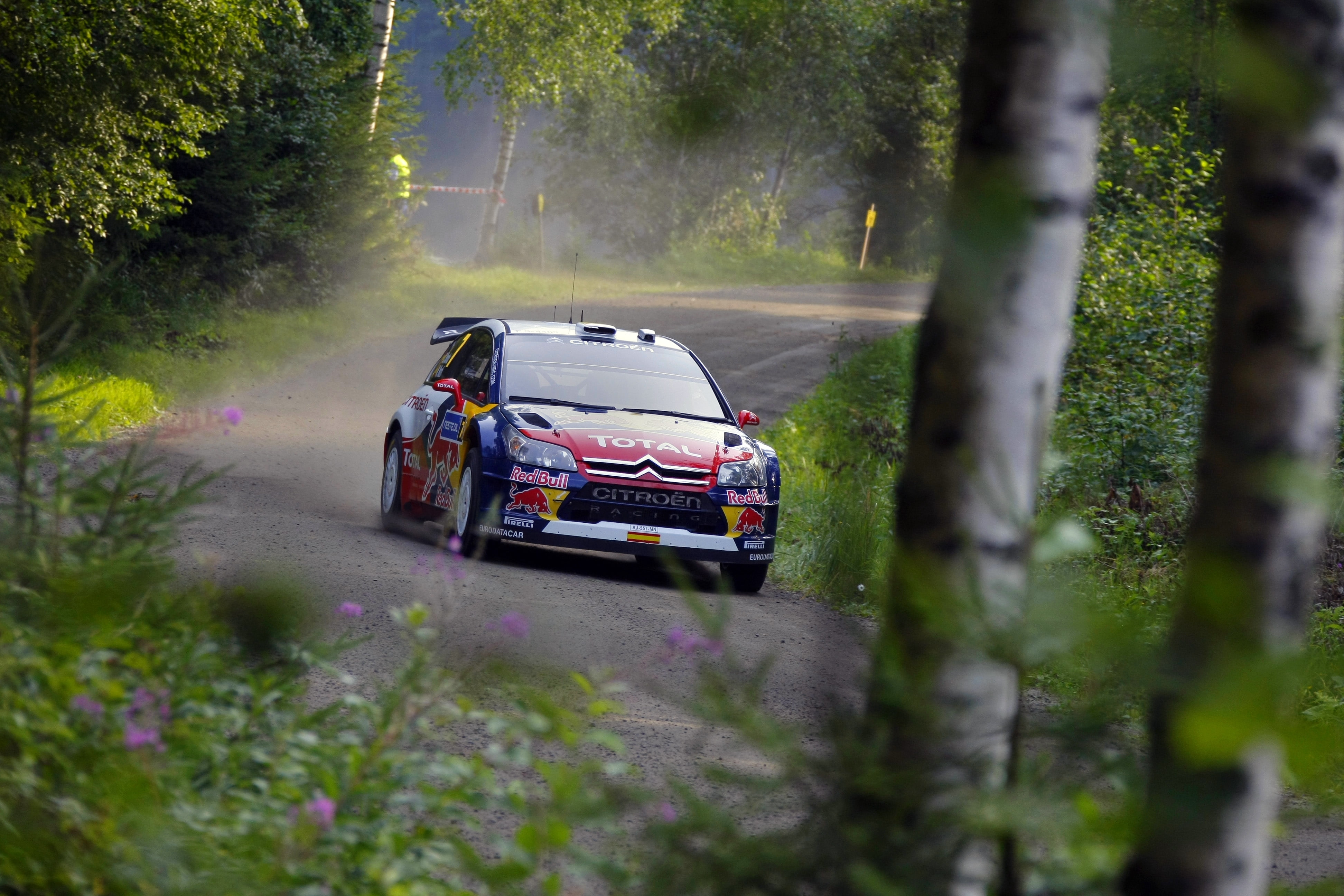 Forest, The front, Citroen, Rally, Dani Sordo, 4K, Machine, WRC, HD Wallpaper