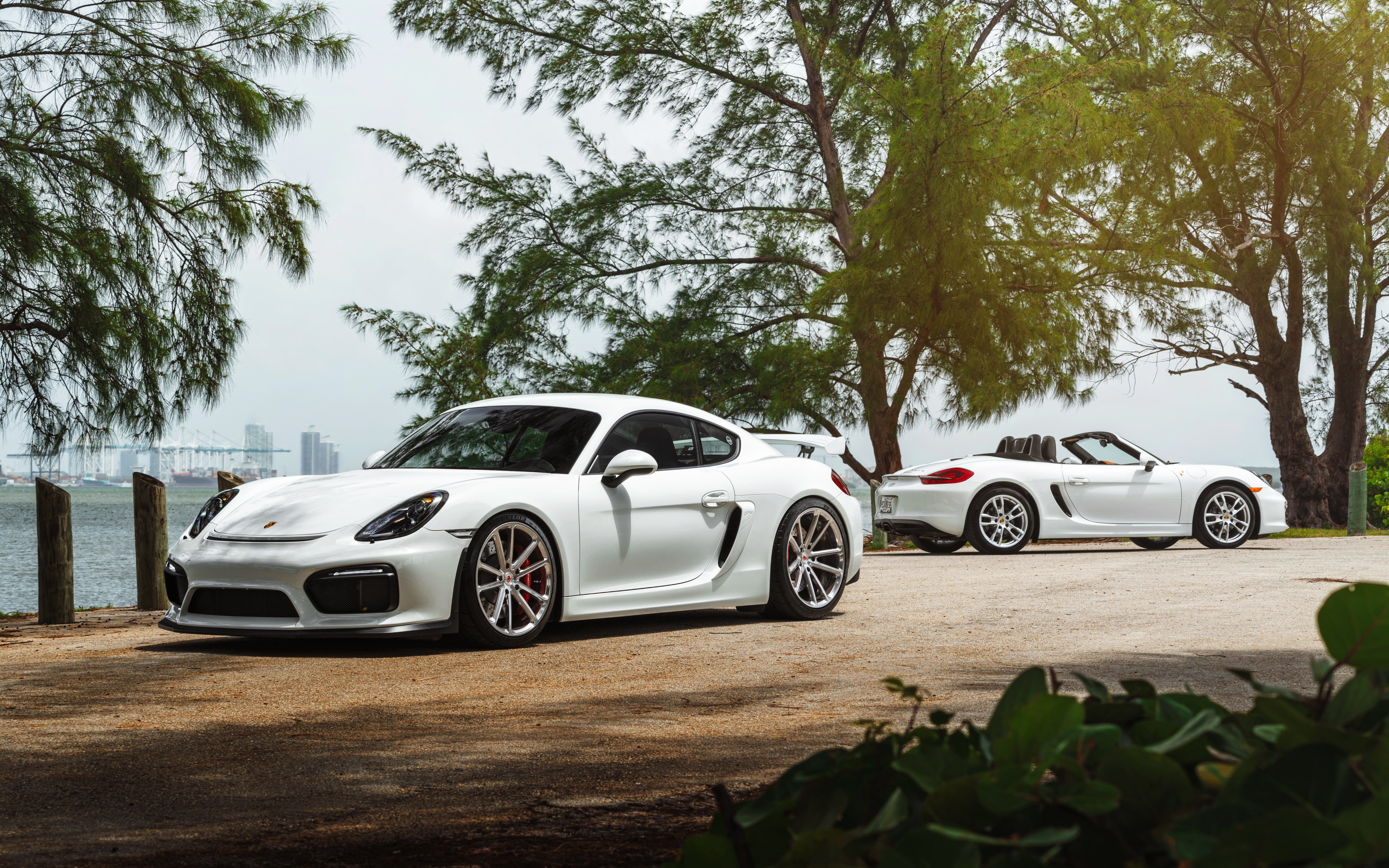 Porsche, White, roadster, car, cayman GT4, William Stern, 5K, HD Wallpaper