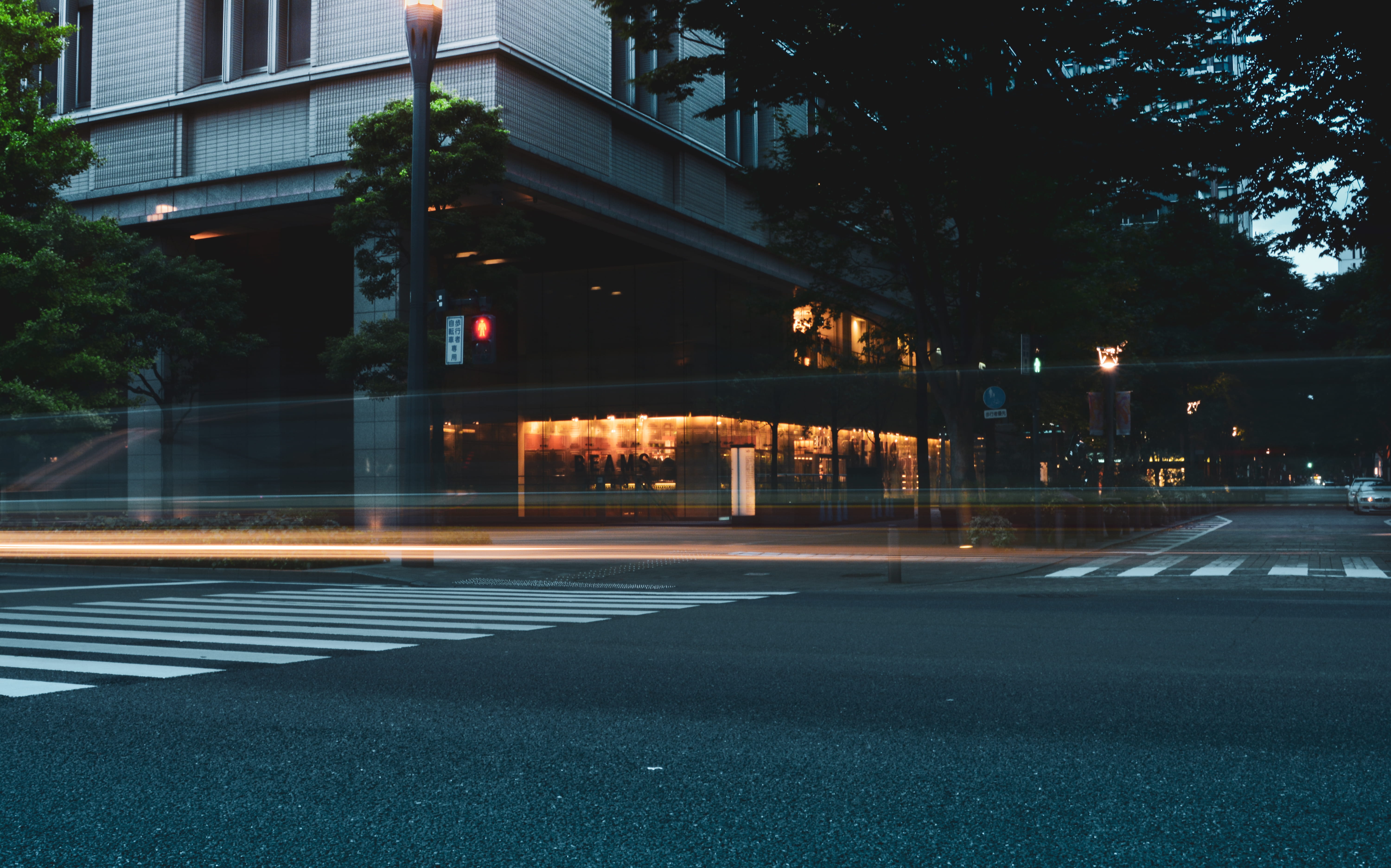 road marking, shop, no people, transportation, nature, street photography, night, tree, outdoors, road, boutique, light, building, built structure, plant, HD Wallpaper