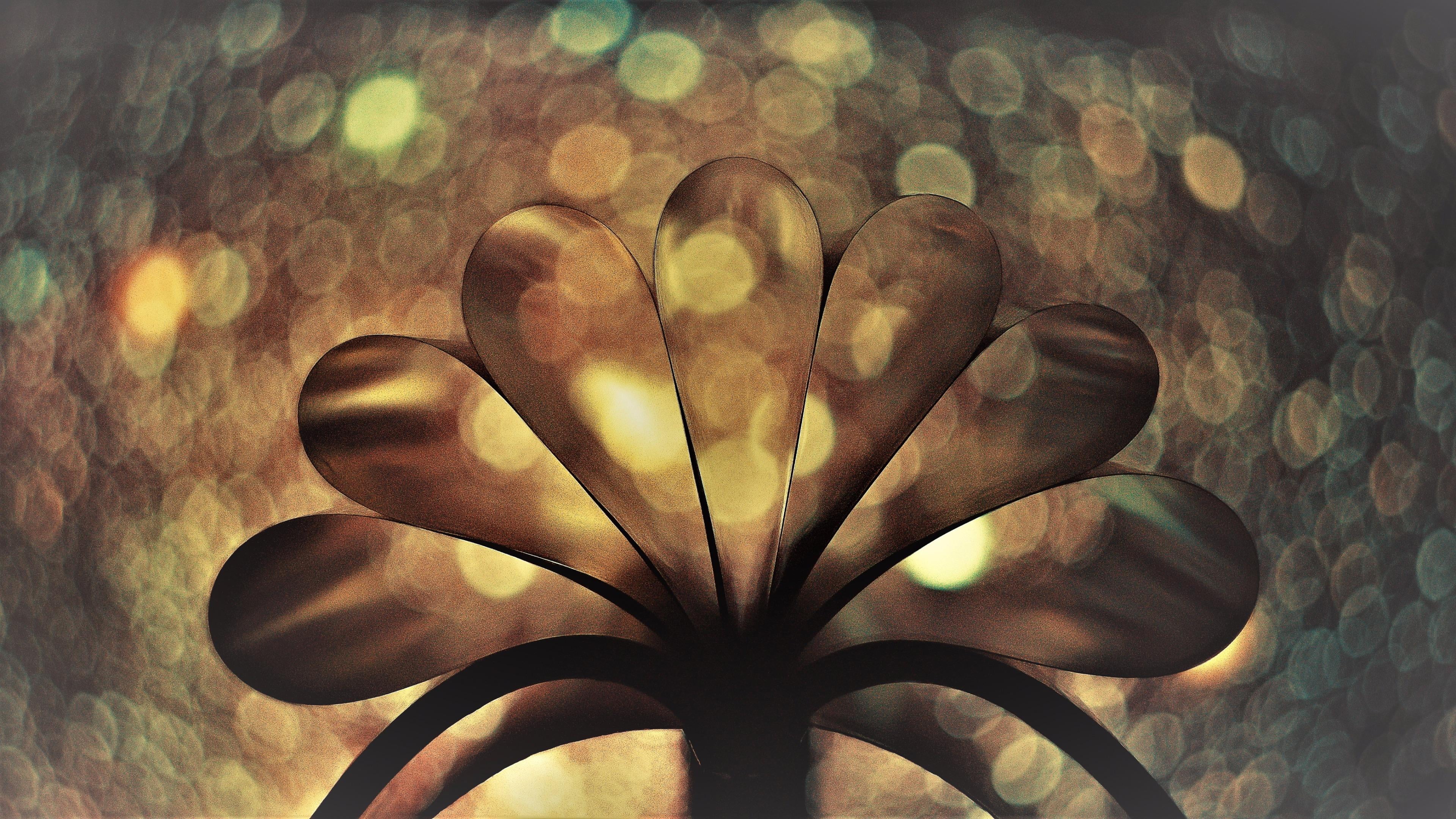 creativity, heart shape, people, emotion, artwork, floral pattern, book page, indoors, still life photography, multi colored, nature, illuminated, art, HD Wallpaper