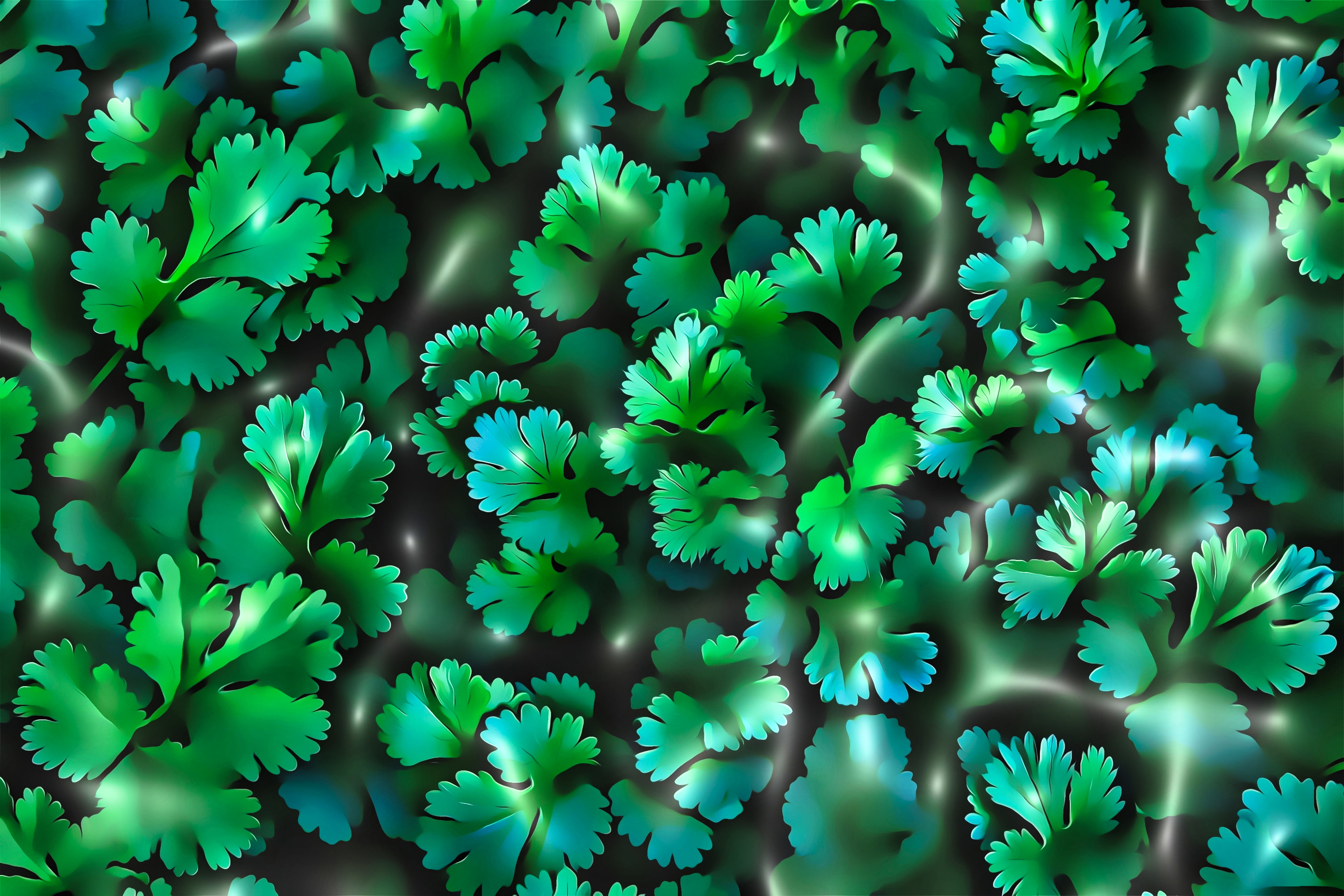 nature, artwork, garden, digital art, herb, painting, 4K, plants, food, cilantro, illustration, leaves, still life, HD Wallpaper