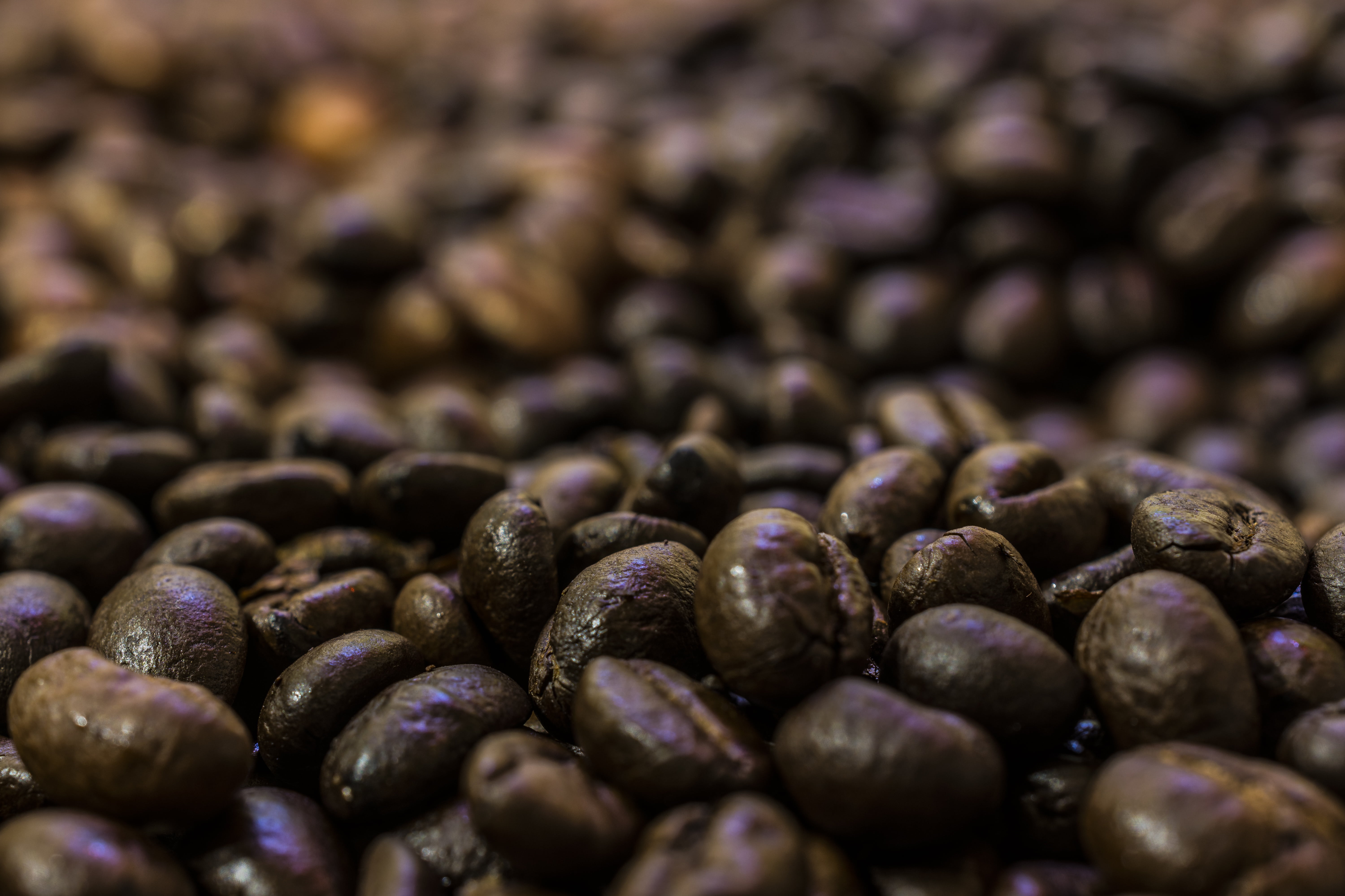 coffee roasting, food and drink, food, purple, beverages, large group of objects, ingredient, healthy eating, artwork, backgrounds, abundance, structure, HD Wallpaper