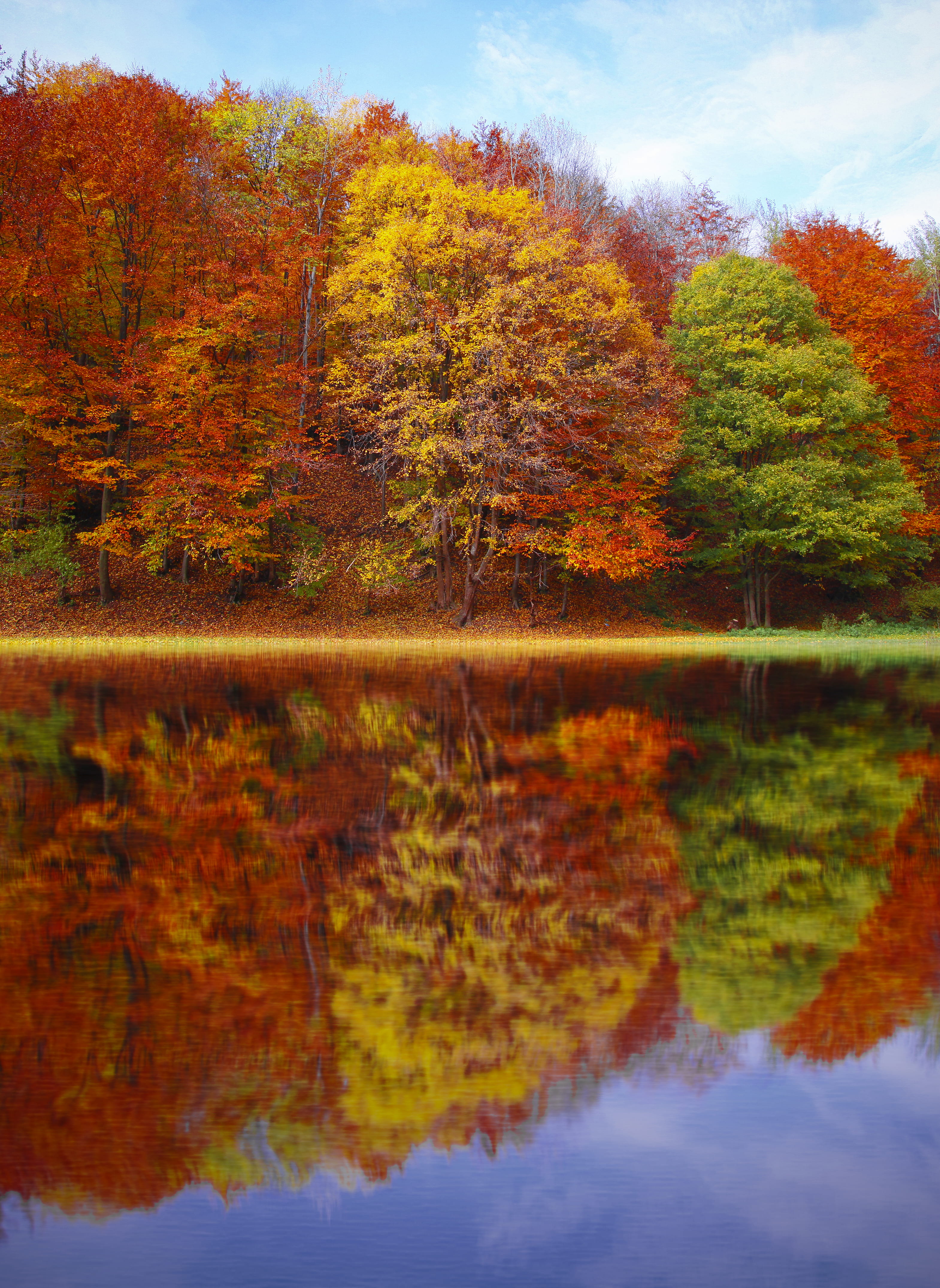 plant, lake, tranquility, fall, artwork, vibrant, beautiful, 4K, autumn collection, environment, scenics - nature, painting, water, scenic, sky, change, Phone HD Wallpaper