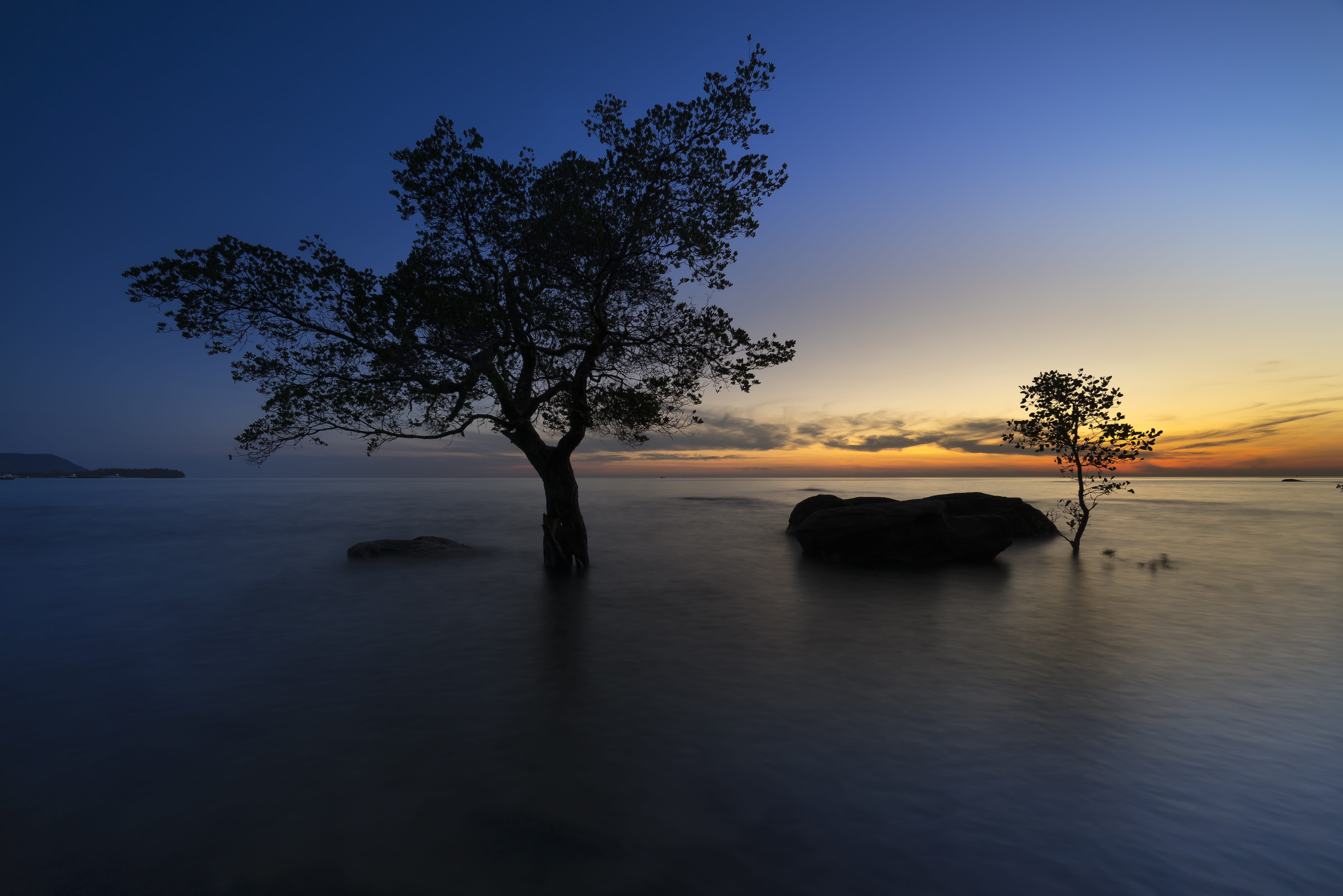 no people, natural, plant, nice, no one, trees, dawn, tropical, water, asia, blue, the landscape, exposure, beach, space, nature, the beach, beauty in nature, HD Wallpaper