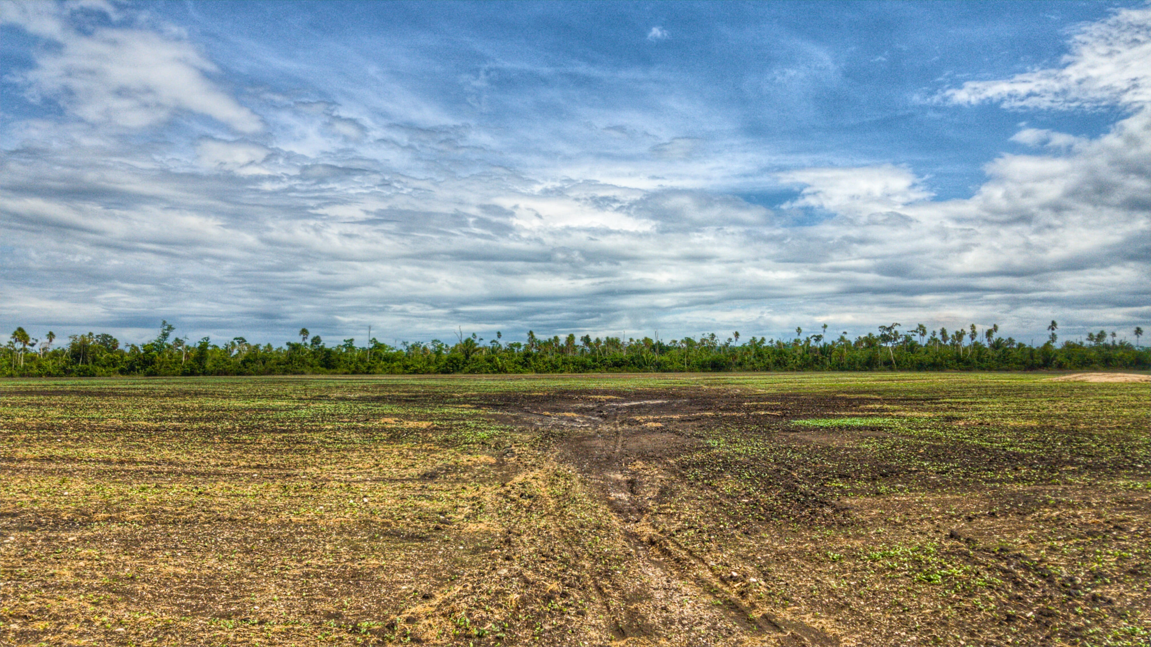 green color, agriculture, panoramic, non-urban scene, landscape, environment, summer, beauty in nature, nature, day, farm, tranquility, field, fair weather, HD Wallpaper