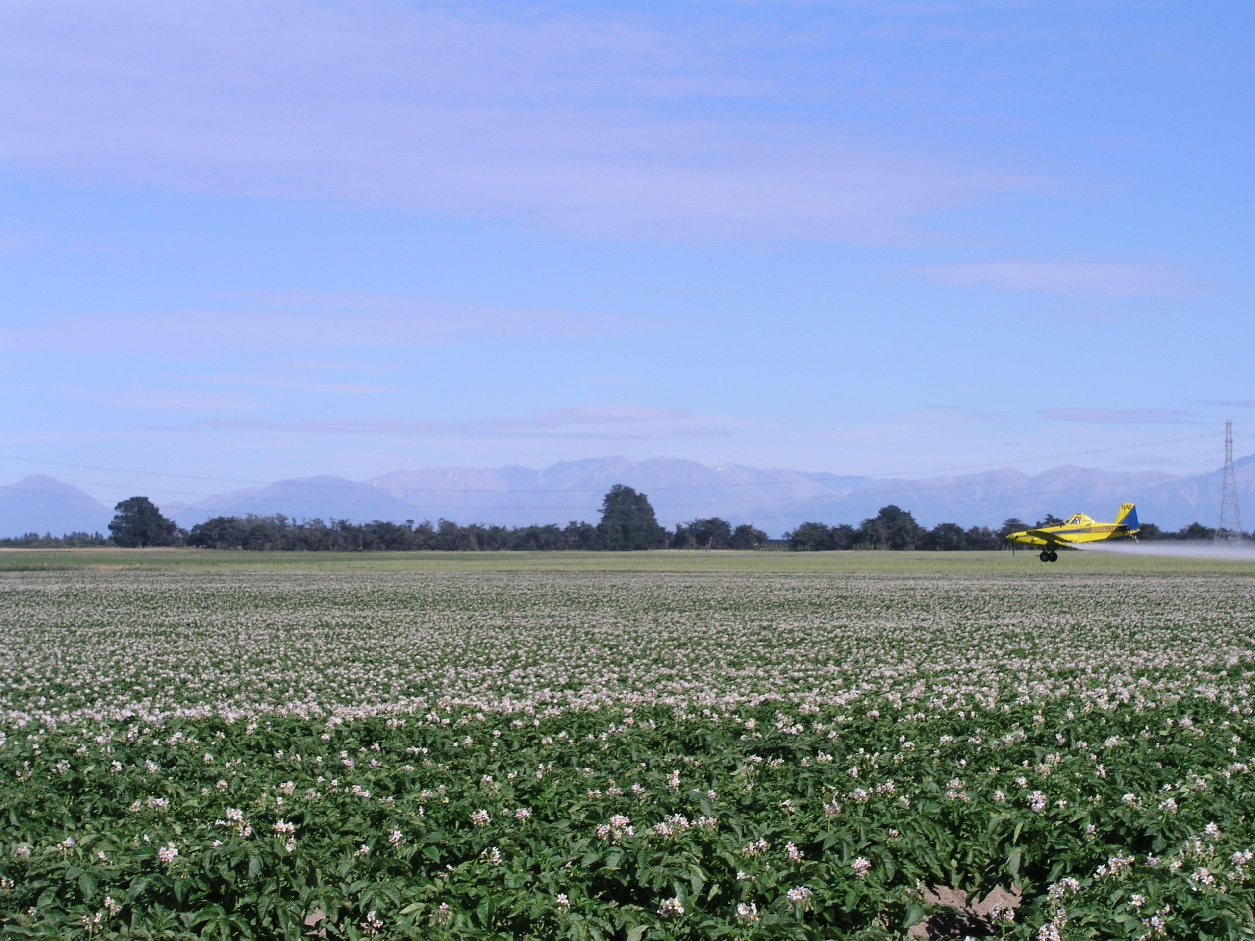2K, equipment, day, farm, beauty in nature, plantation, no people, chemical, tranquil scene, flower, land, crop, rural scene, tranquility, plane, outdoors, HD Wallpaper