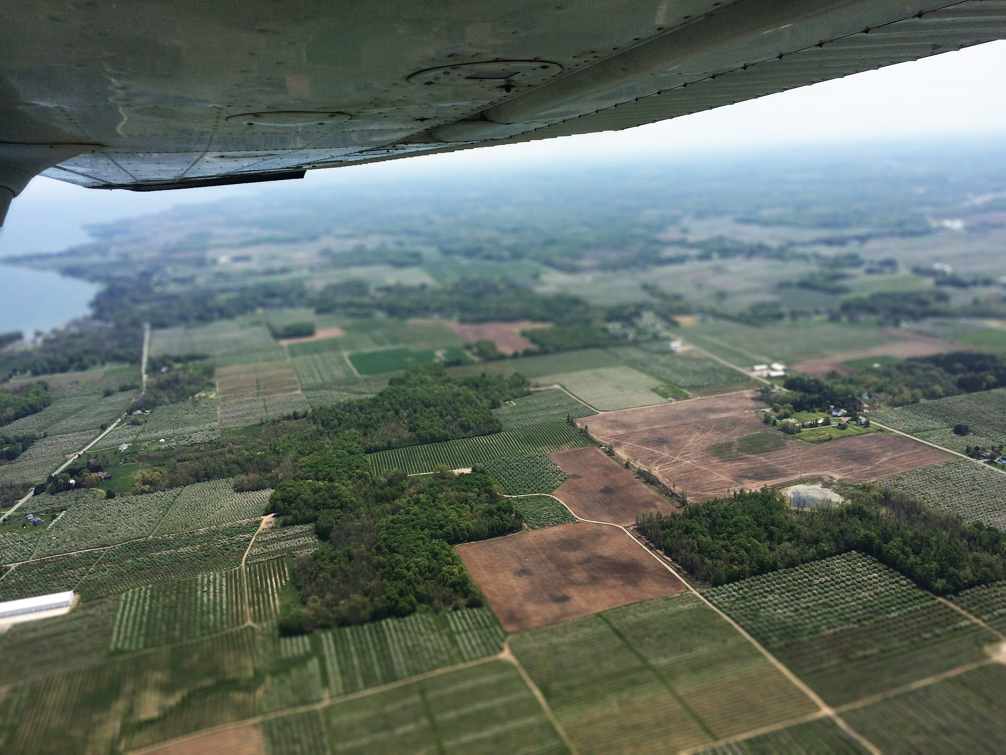 grass, pasture, 2K, plantation, environment, airplane wing, patchwork landscape, beauty in nature, rural scene, furrow, airplane, patchwork, day, farming, HD Wallpaper