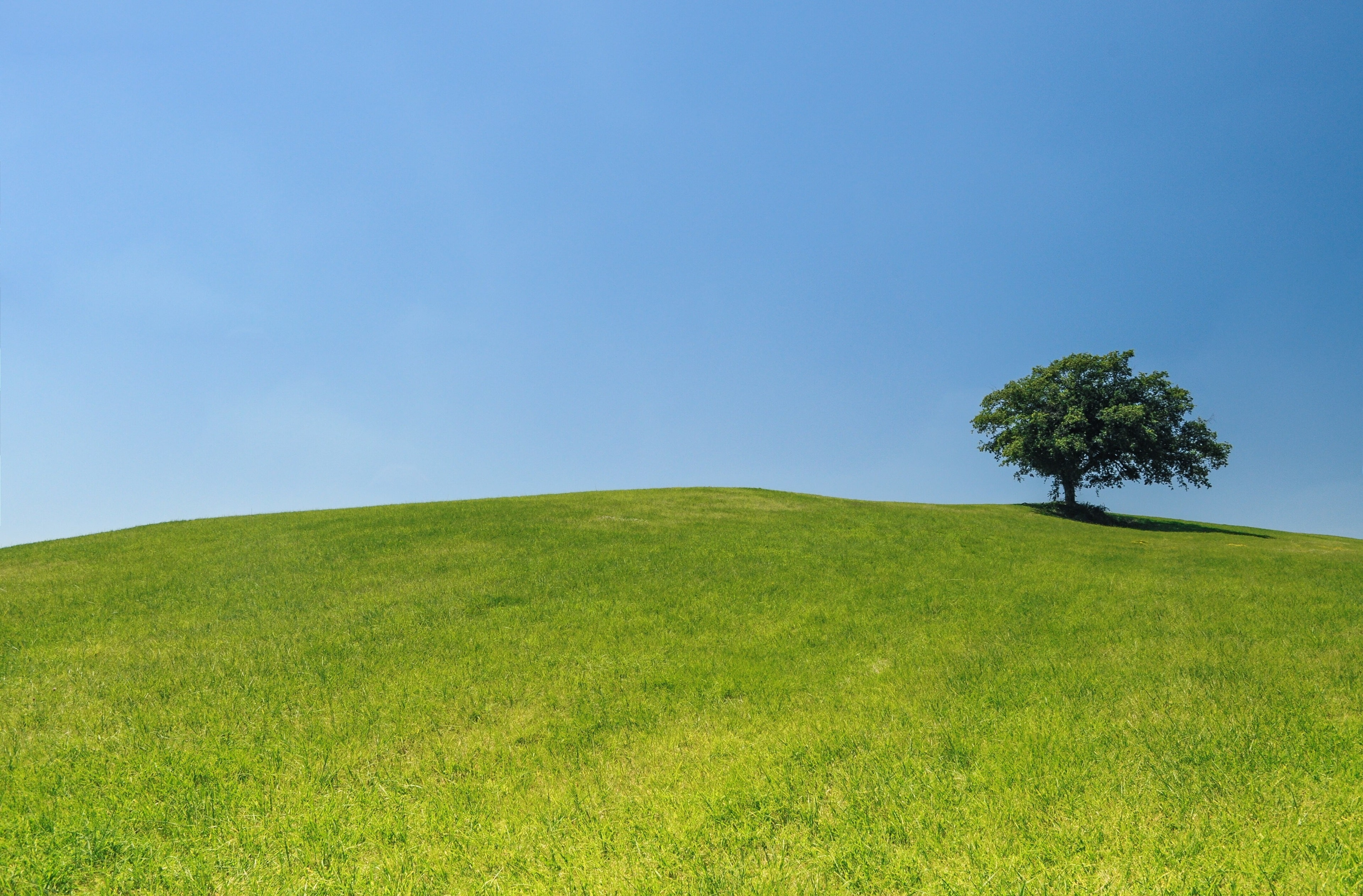 landscape, copy space, green color, hill, plain, sky, blue, outdoors, plant, horizon, tranquility, 4K, grass, horizon over land, day, field, land, beauty in nature, HD Wallpaper