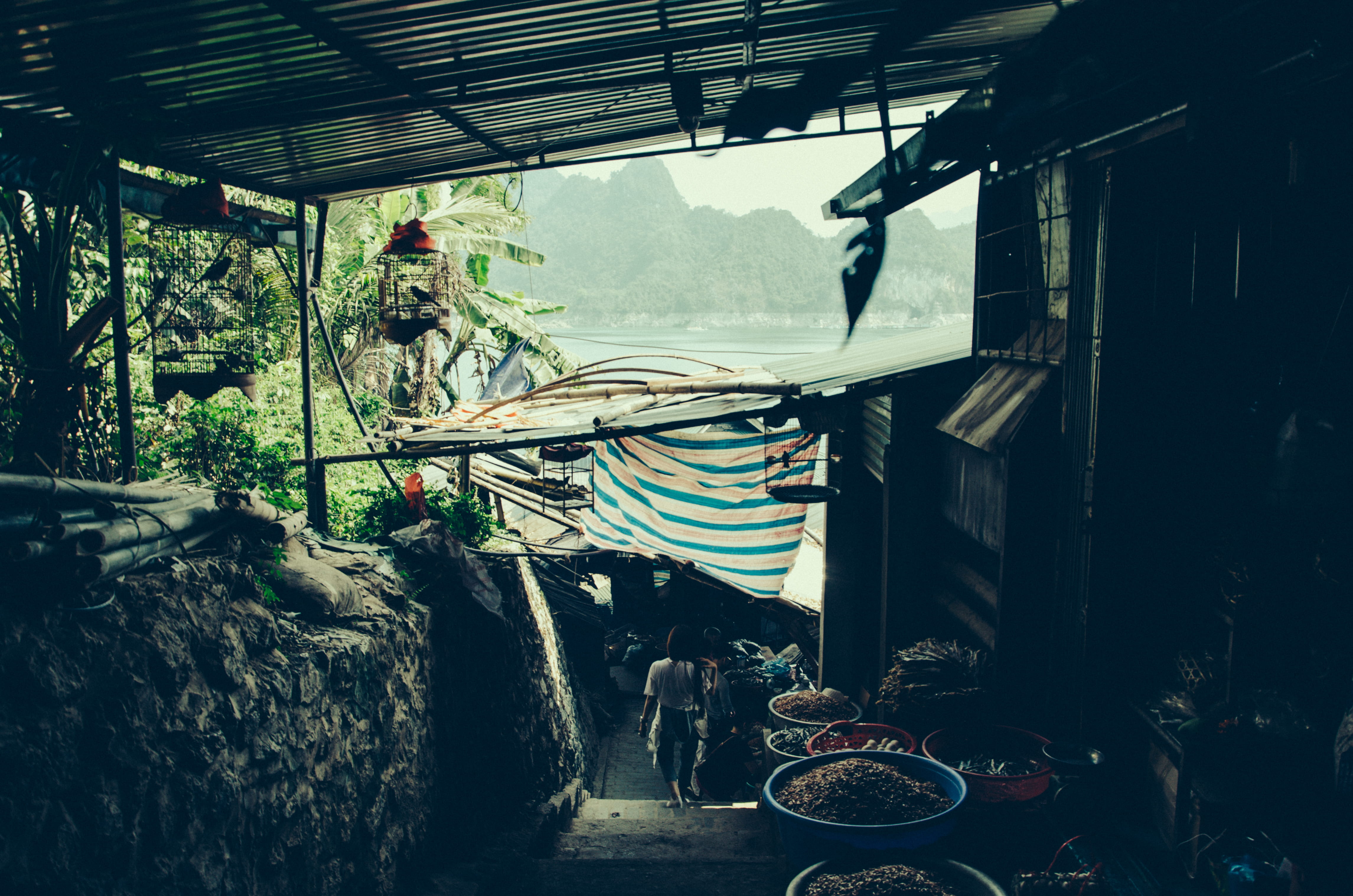 nature, architecture, working, vertebrate, messy, built structure, marketplace, people, group of animals, no people, occupation, mood, building, rural, HD Wallpaper