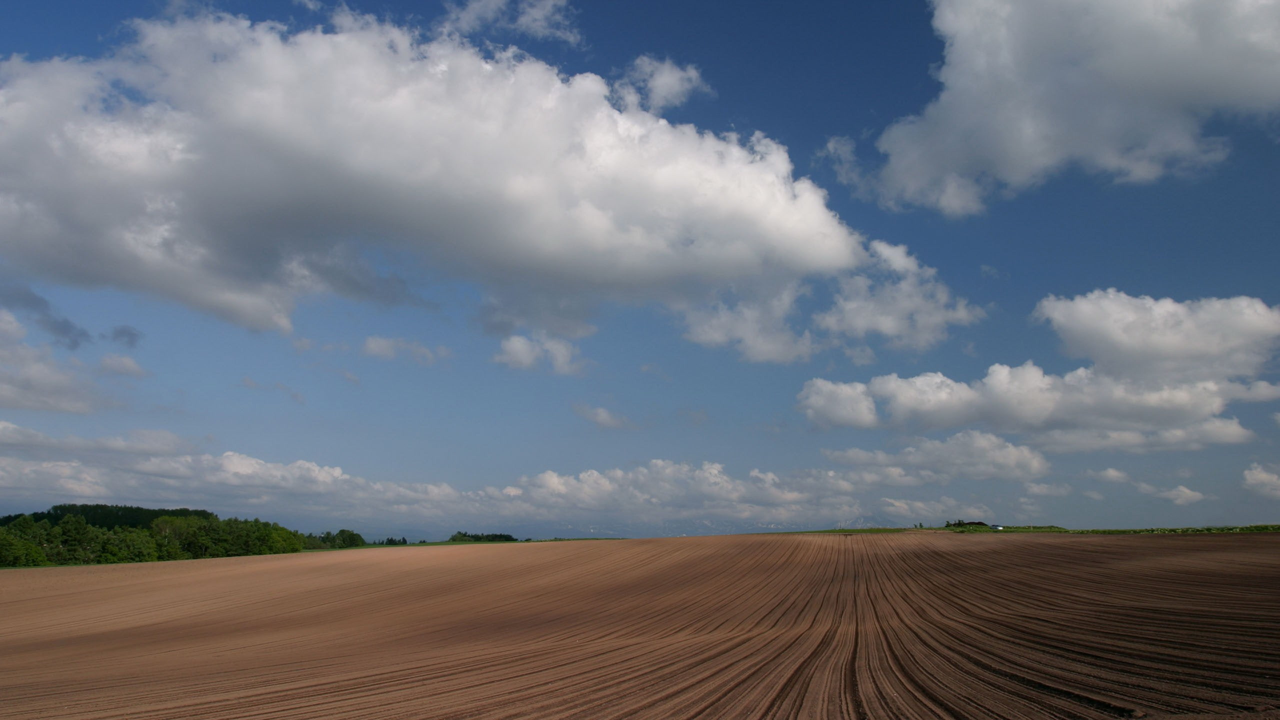 horizon, scenics - nature, desert, land, environment, day, outdoors, beauty in nature, nature, cloud - sky, sky, no people, non-urban scene, field, horizon over land, HD Wallpaper