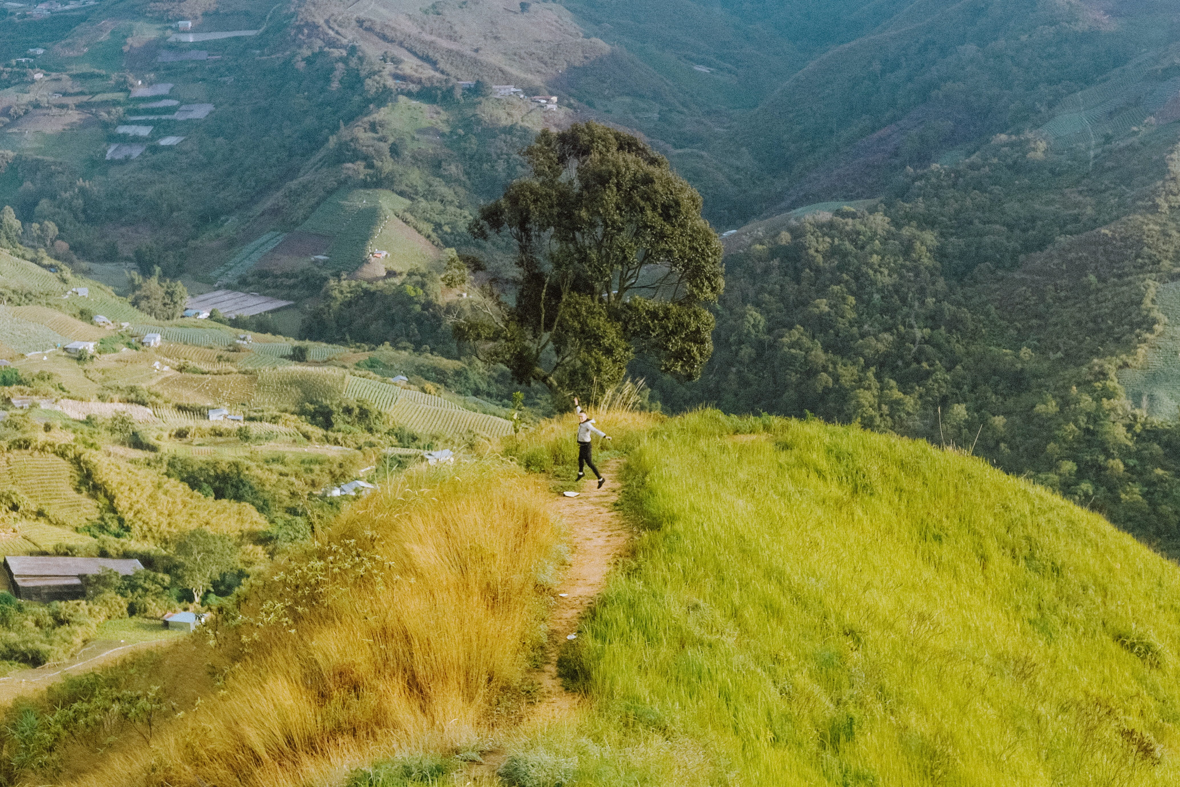 one person, growth, beauty in nature, green, green color, landscape, leisure activity, plant, environment, real people, kundasang, lifestyles, outdoors, HD Wallpaper