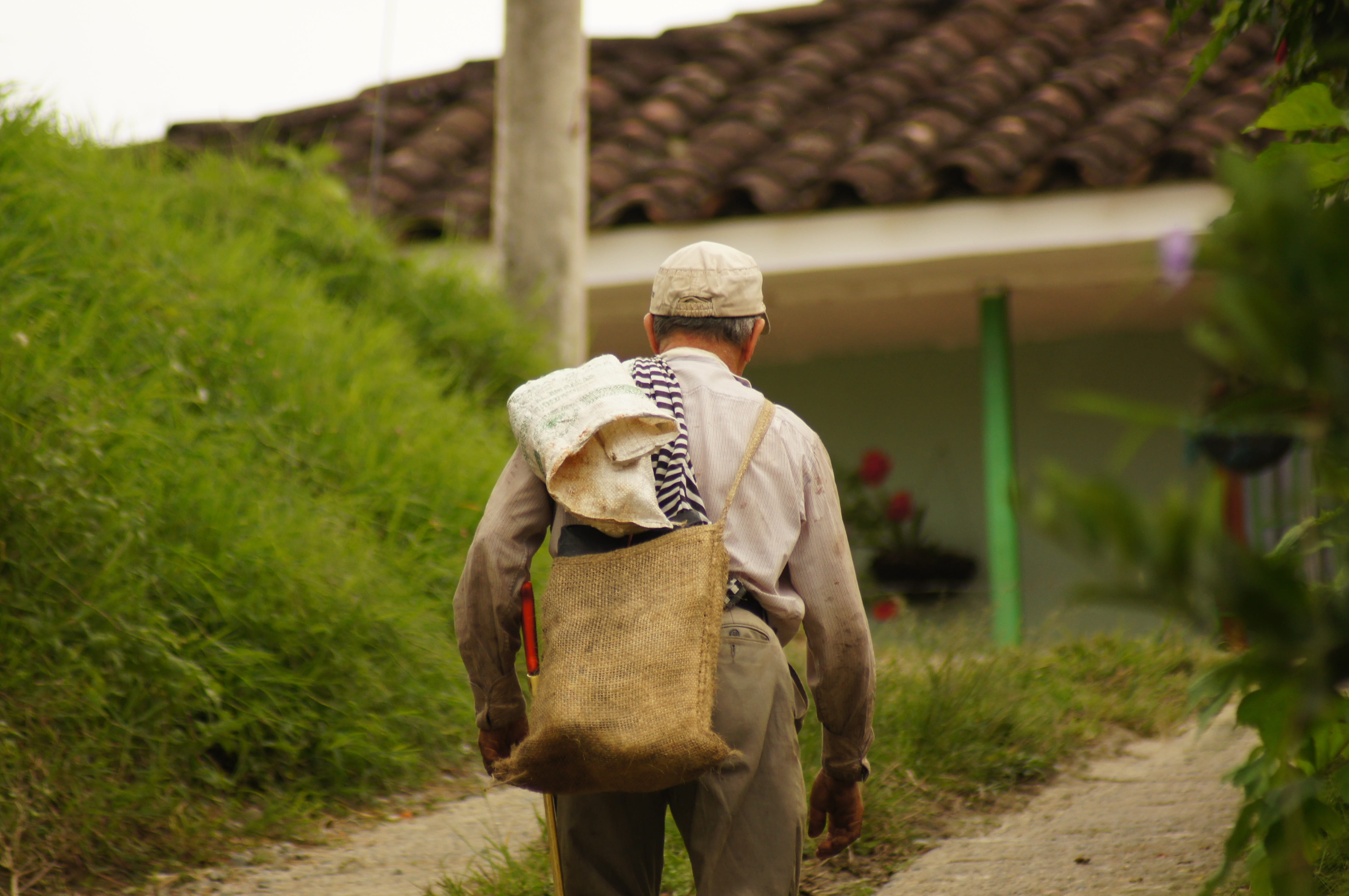 outdoors, Area, farm, one person, farmer, of the, occupation, three quarter length, nature, land, men, People, dirt, day, colombia, agriculture, carrying, HD Wallpaper