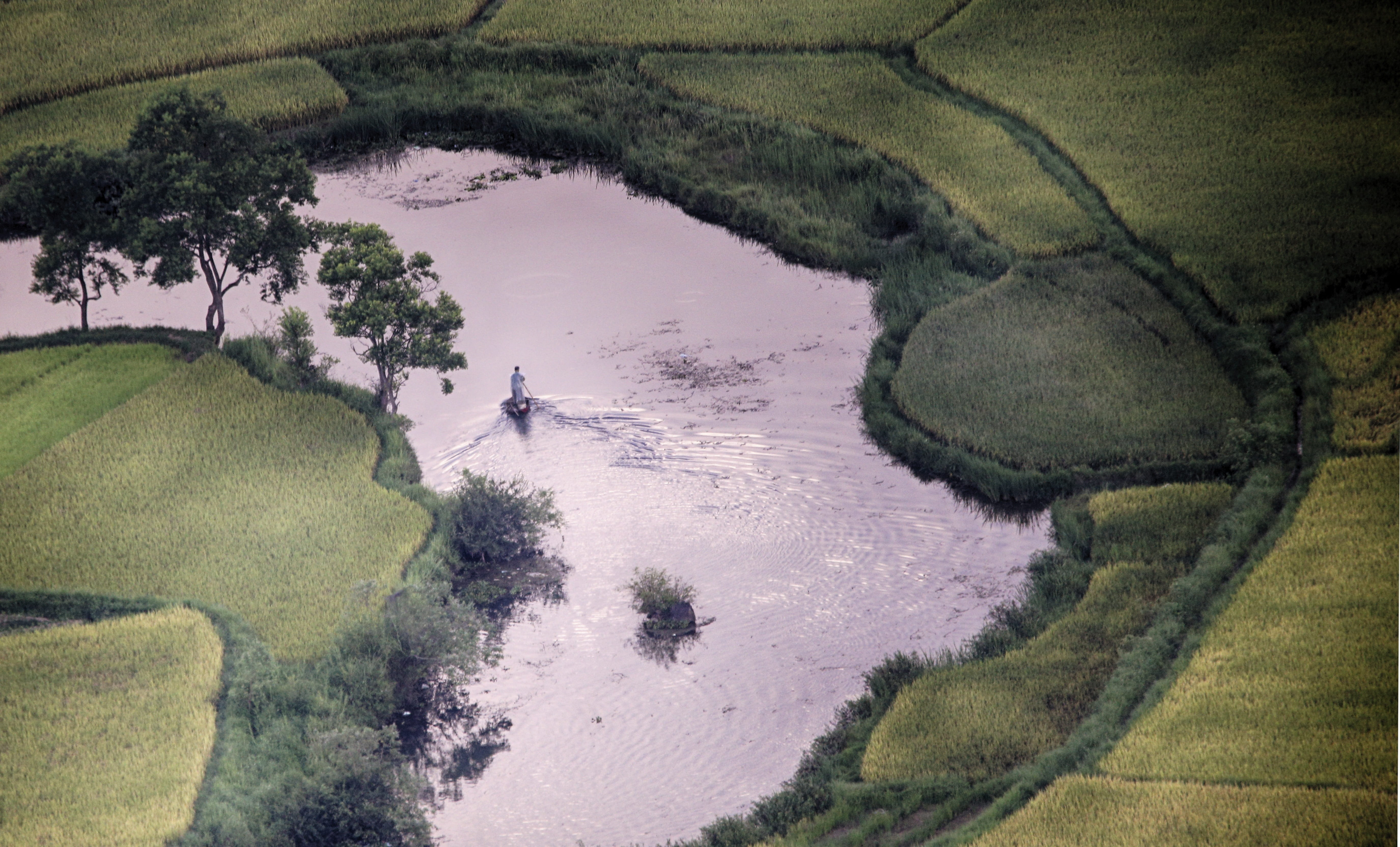 outdoors, beauty in nature, high angle view, vietnam, lake, reflection, tree, no people, growth, day, plant, scenics - nature, 5K, nature, land, tranquility, HD Wallpaper