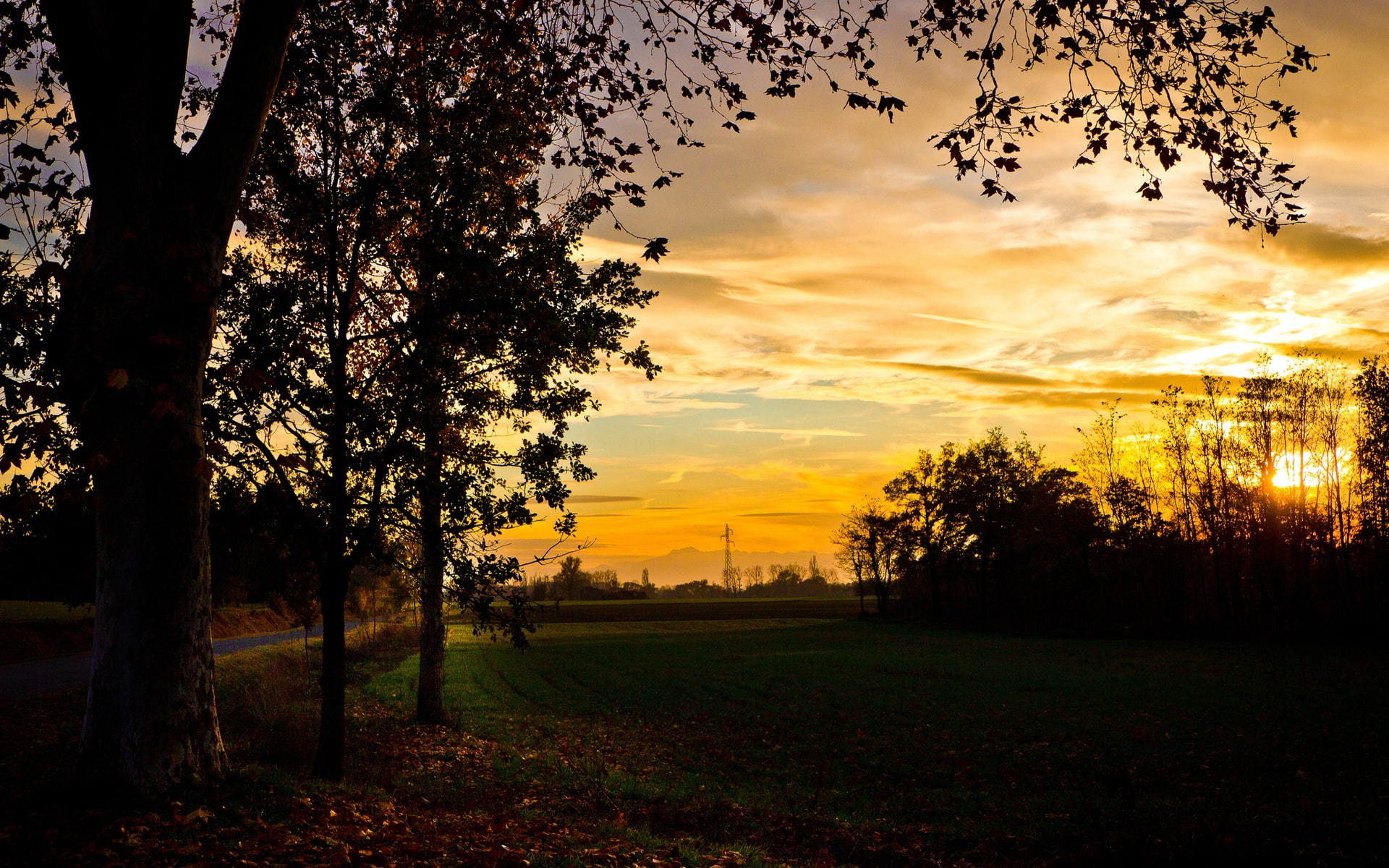 silhouette, Beautiful, Sunset, Field, golden, Scenery, Autumn, Trees, Evening, hour, 1080P, tree, HD Wallpaper