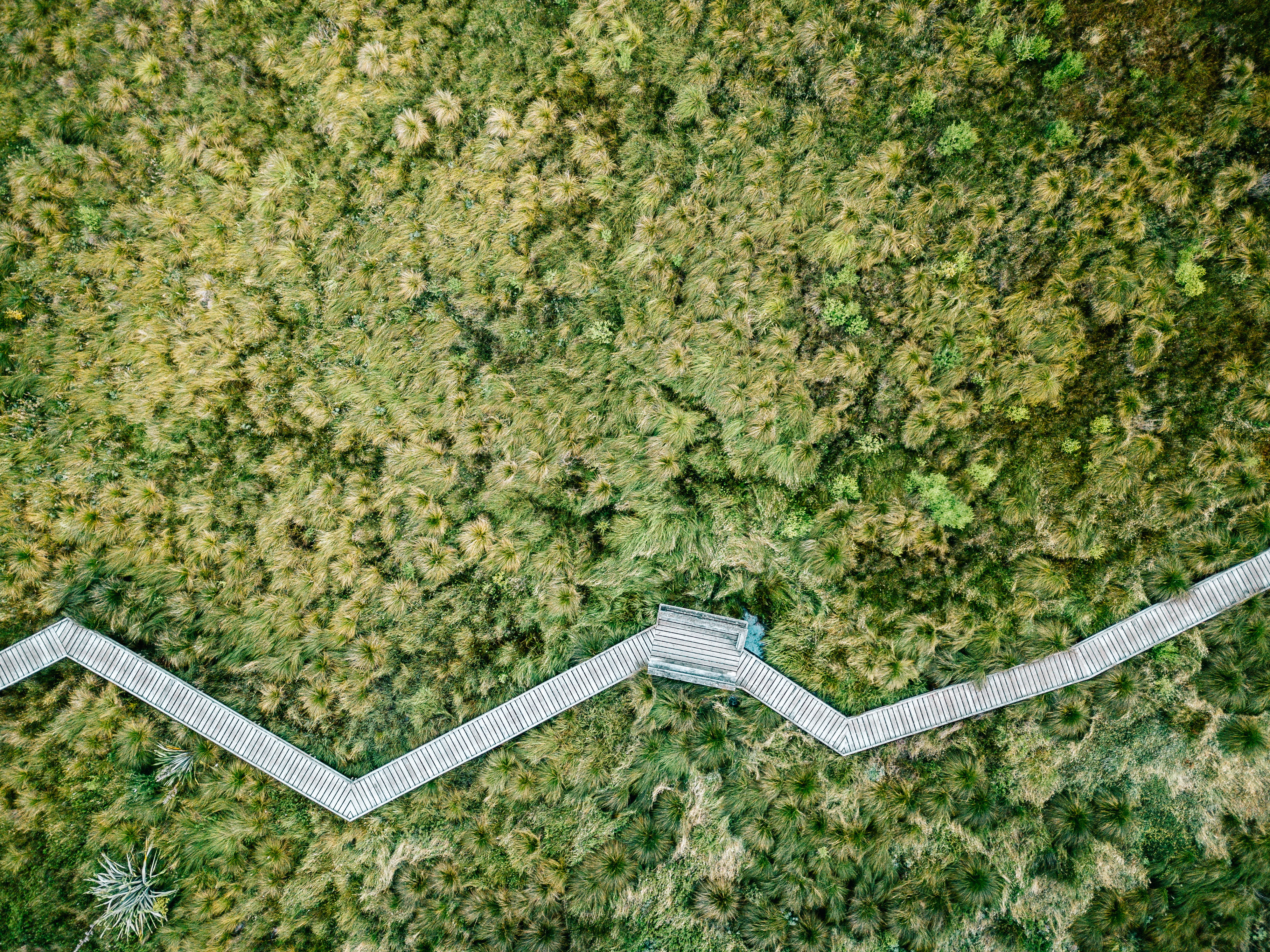 grass, architecture, pathway, aerial view, land, no people, tree, green color, built structure, plant, photo, landscape, walkway, pattern, aerial, 4K, HD Wallpaper