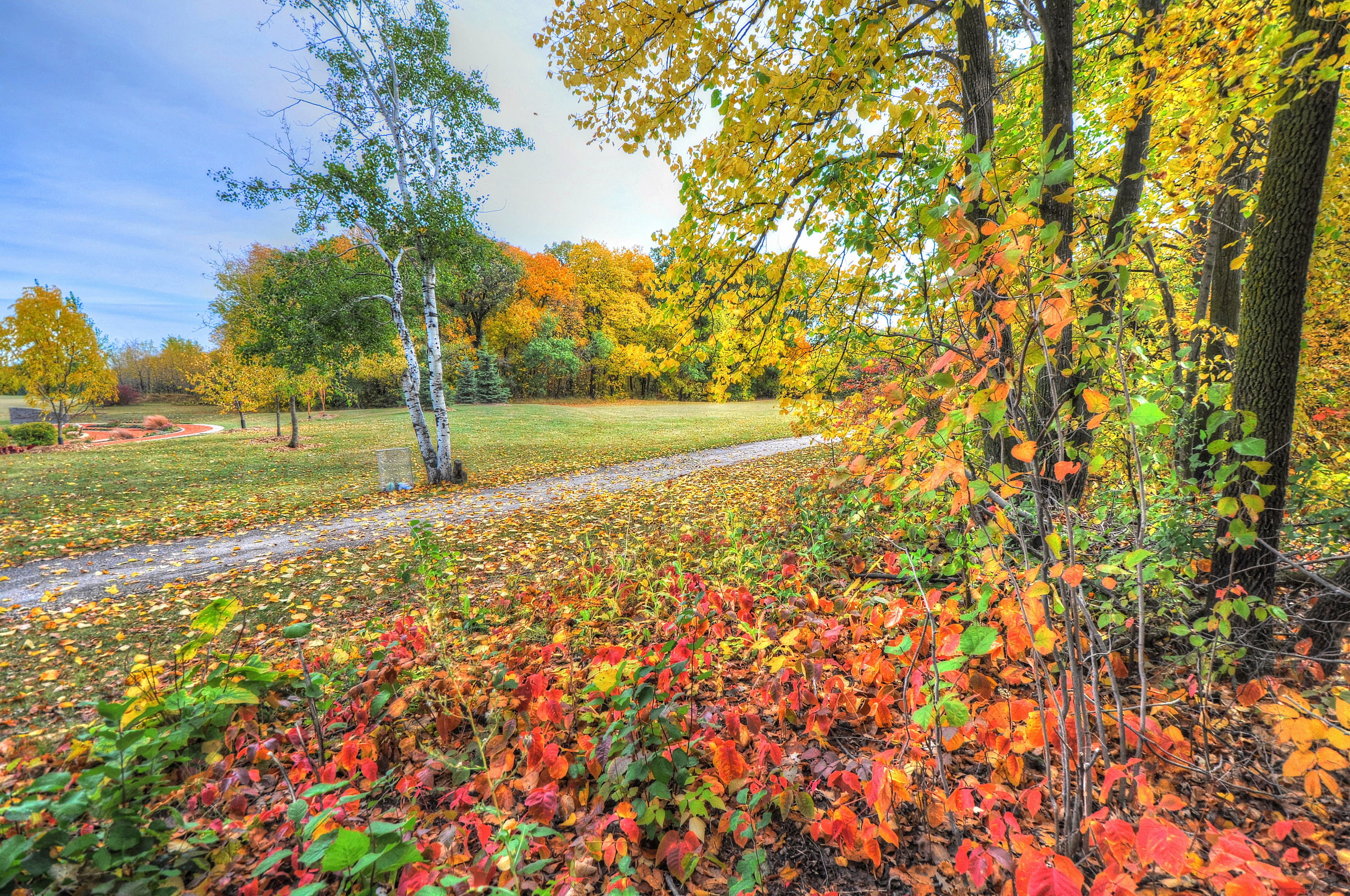 nature, color Image, land, woodland, colors, day, road, scenics, autumn, non-Urban Scene, gold Colored, outdoors, bright, footpath, september, plant part, HD Wallpaper