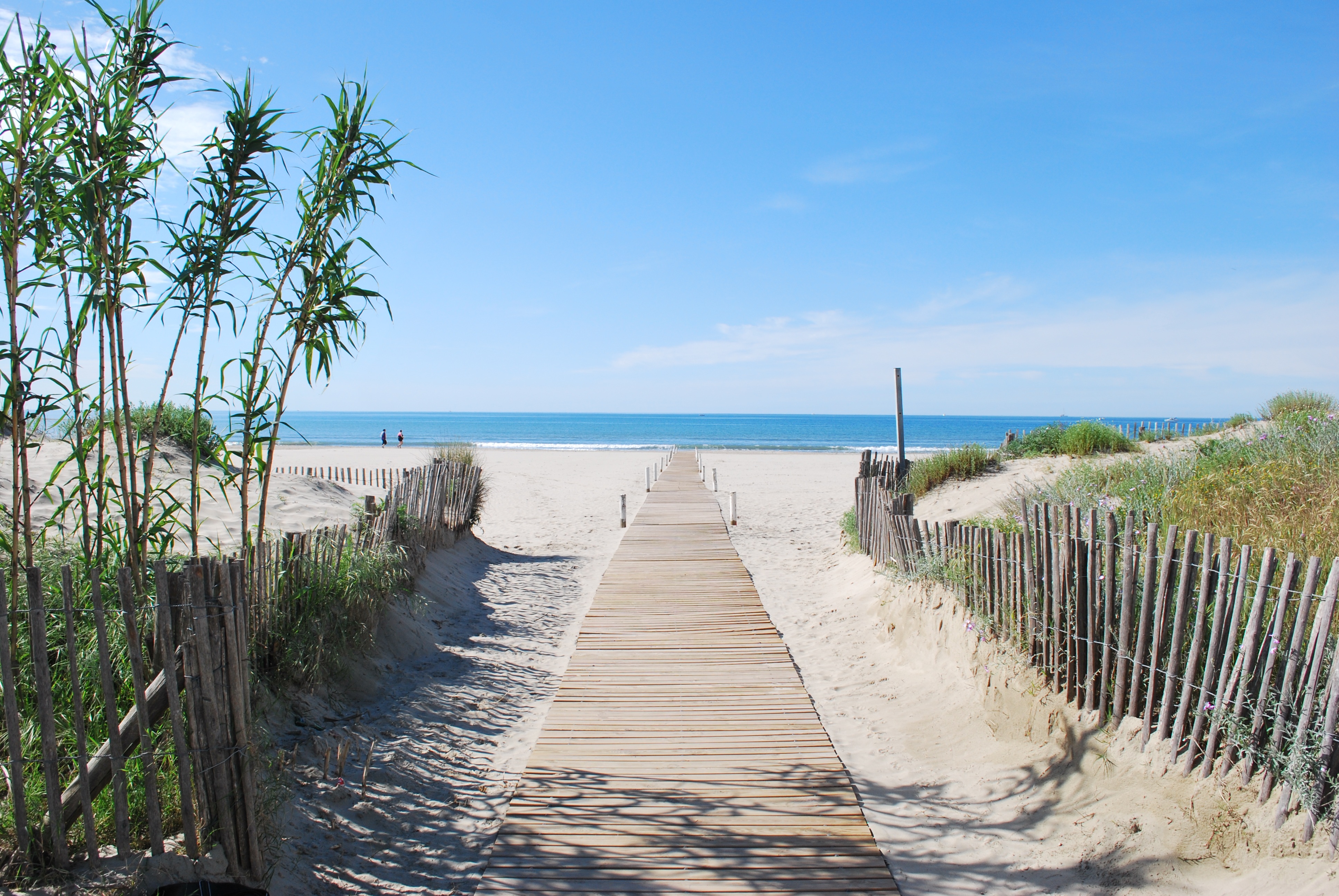 blue, narrow, beauty in nature, wooden, sky, plant, long, water, scenics - nature, montpellier, boardwalk, the grand travers, tranquility, beach path, day, HD Wallpaper