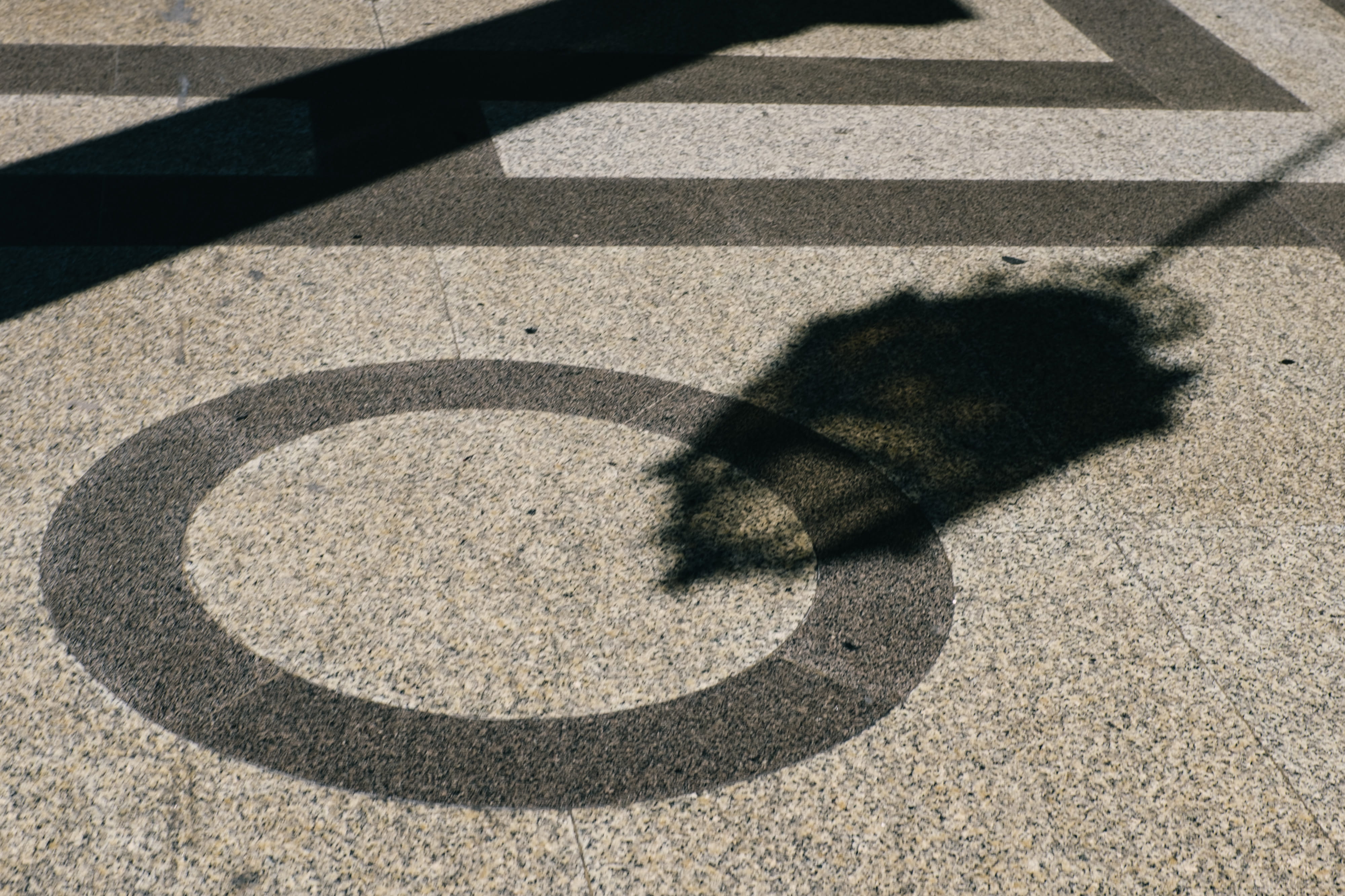 nature, one animal, background, animal themes, floors, lighting, texture, focus on shadow, sunny, shining, shadows, 4K, reflection, sunlight, shiny, street, HD Wallpaper
