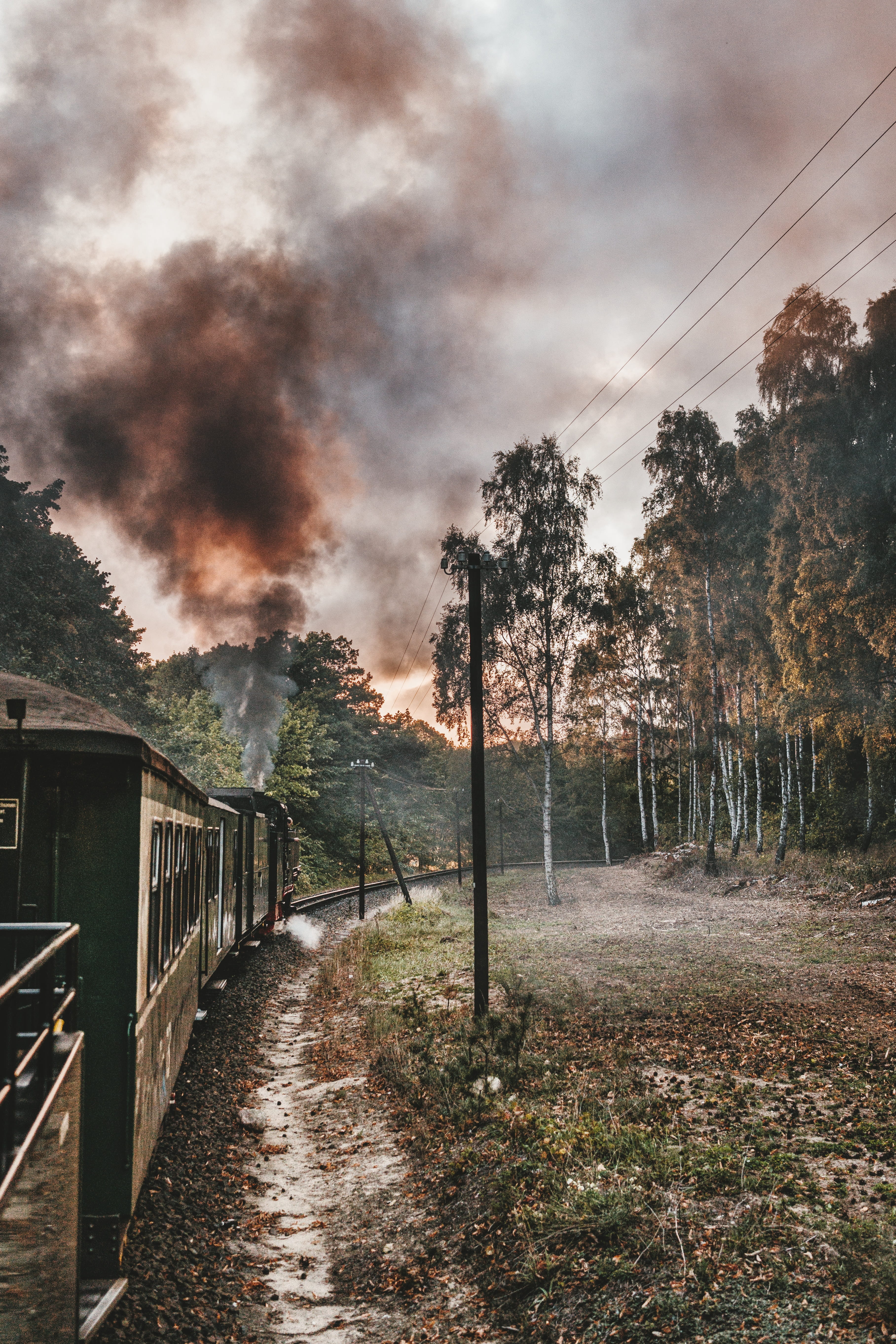 locomotive, tranquility, architecture, small ground, outdoors, direction, tree, background, land, historically, cloud - sky, rasender roland, no people, Phone HD Wallpaper