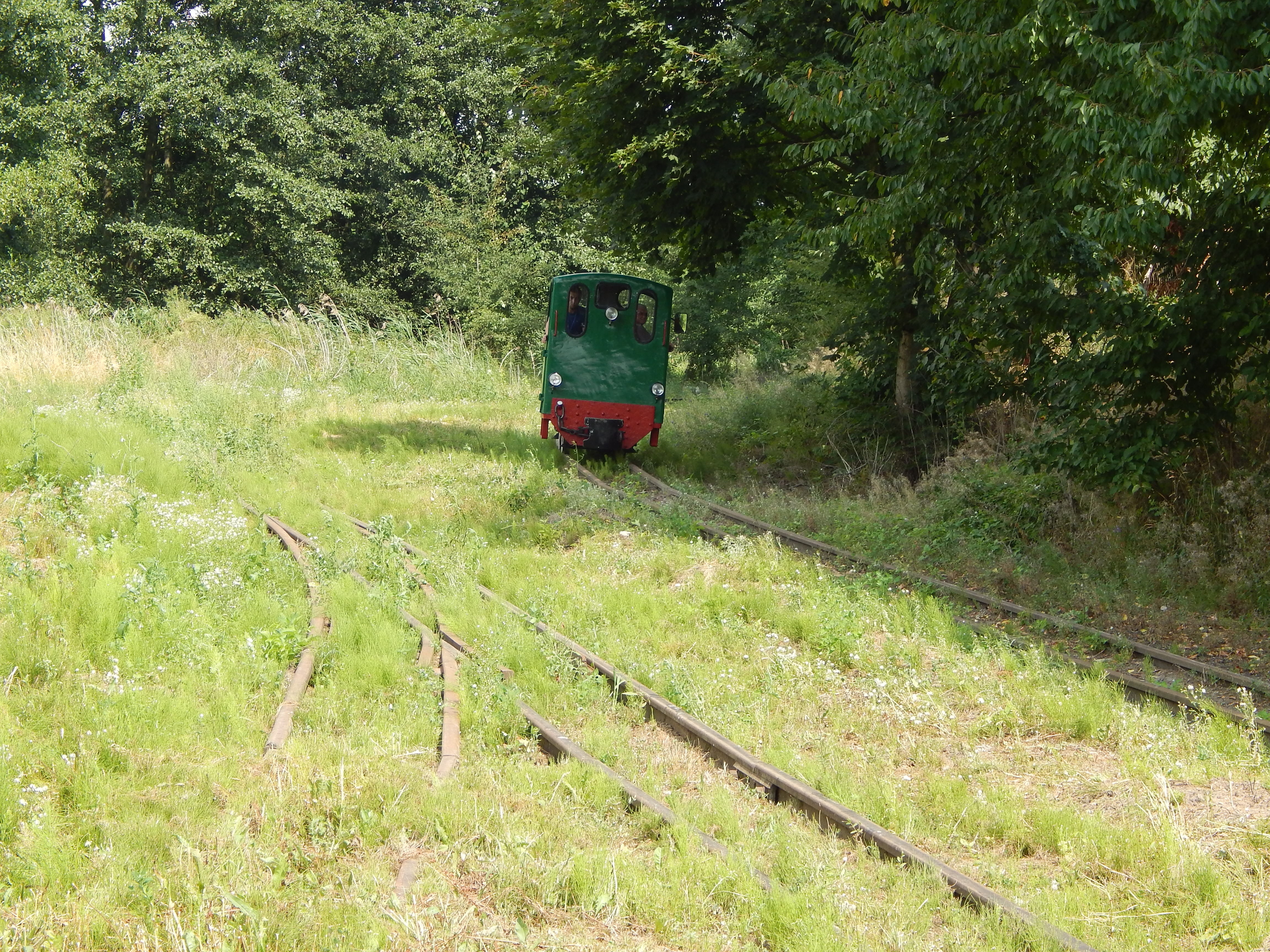 green color, grass, nature, historic vehicle, locomotive, day, rails, public transportation, tree, narrow-gauge railway, train, steam train, plant, rail transportation, HD Wallpaper