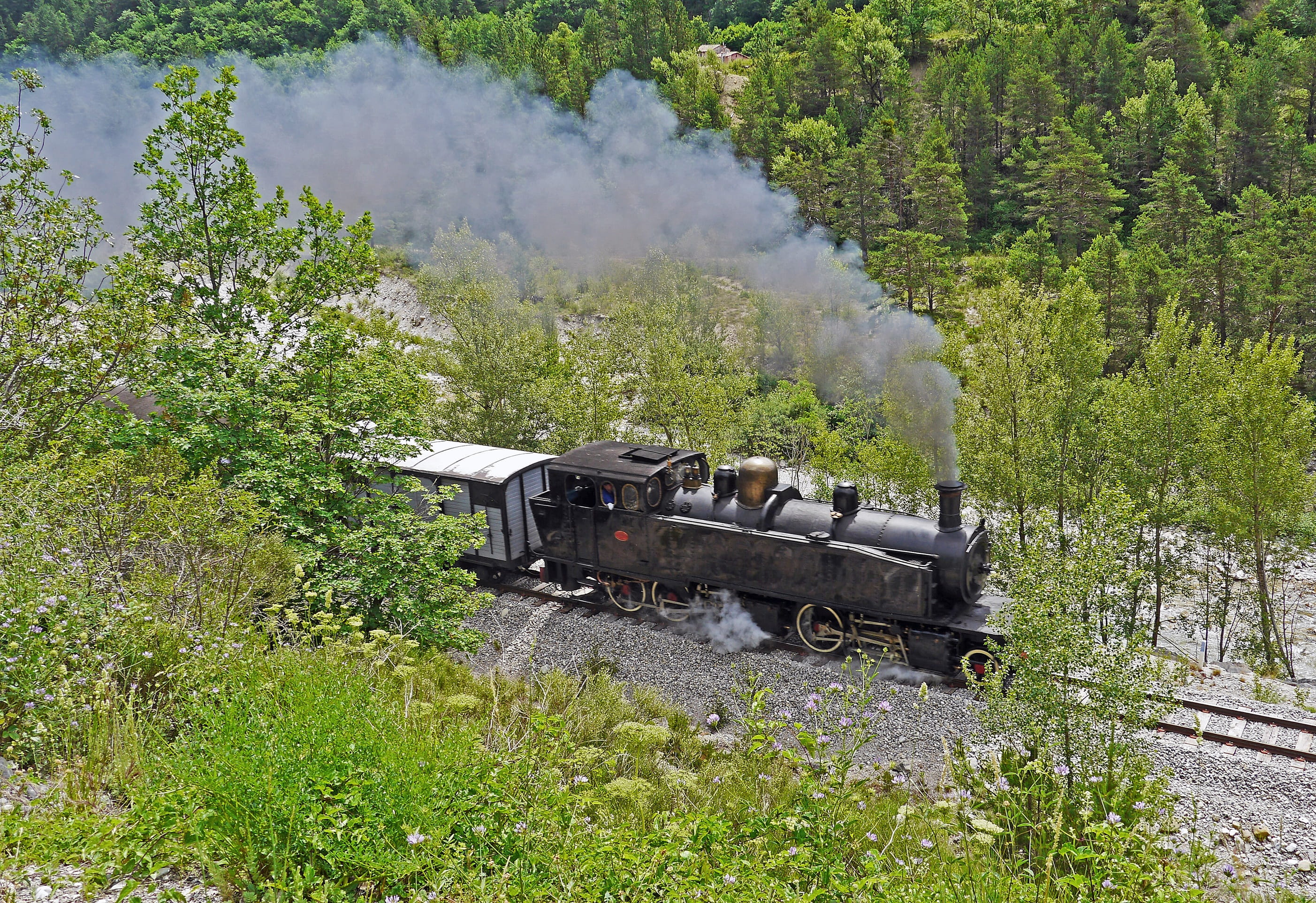historically, maritime alps, south of france, steam train, locomotive, vartal, military, track, air pollution, tree, growth, 2K, day, pollution, chemin de fer de provence, HD Wallpaper
